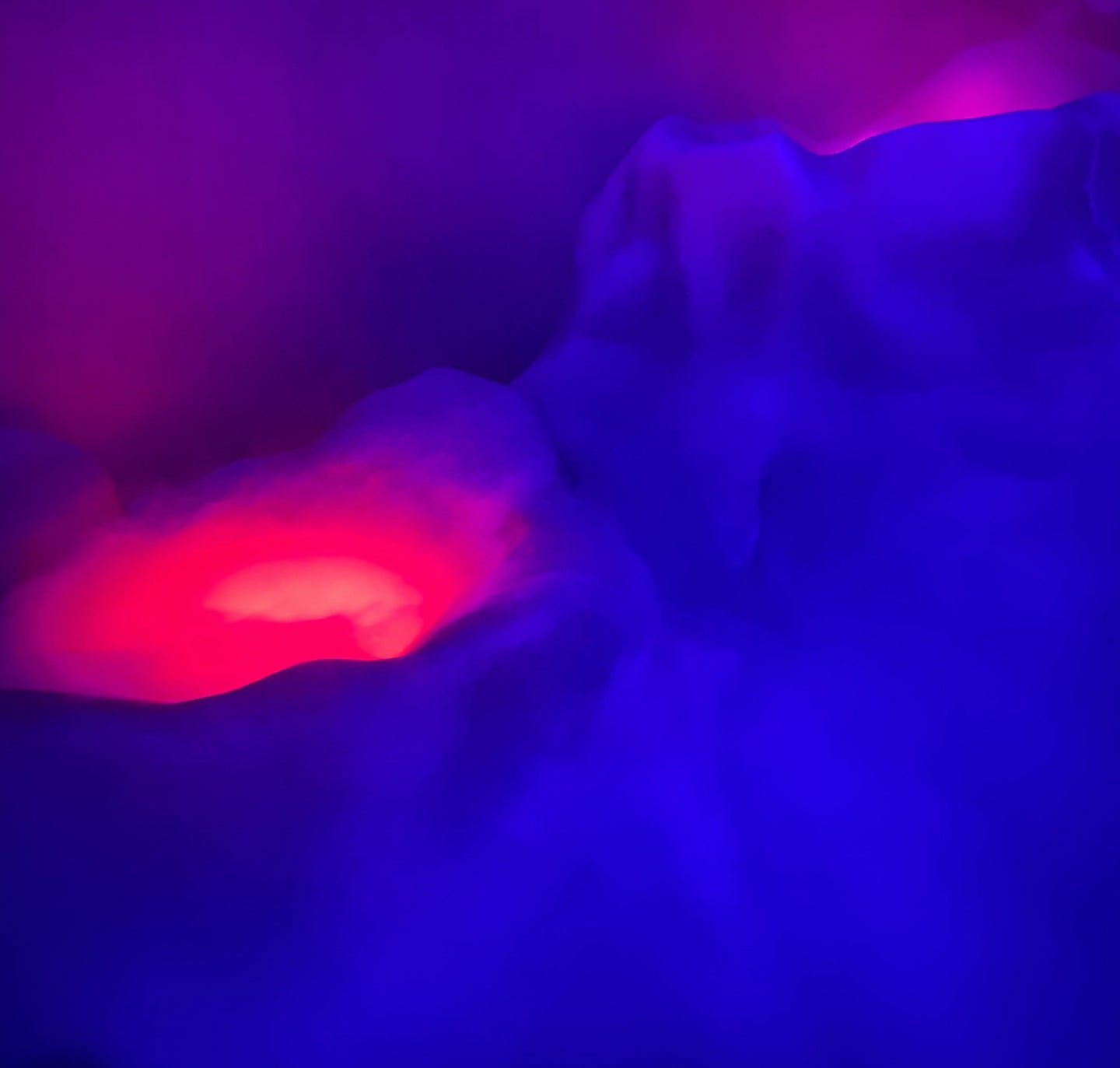 Photo: Cheryl Eddy/io9