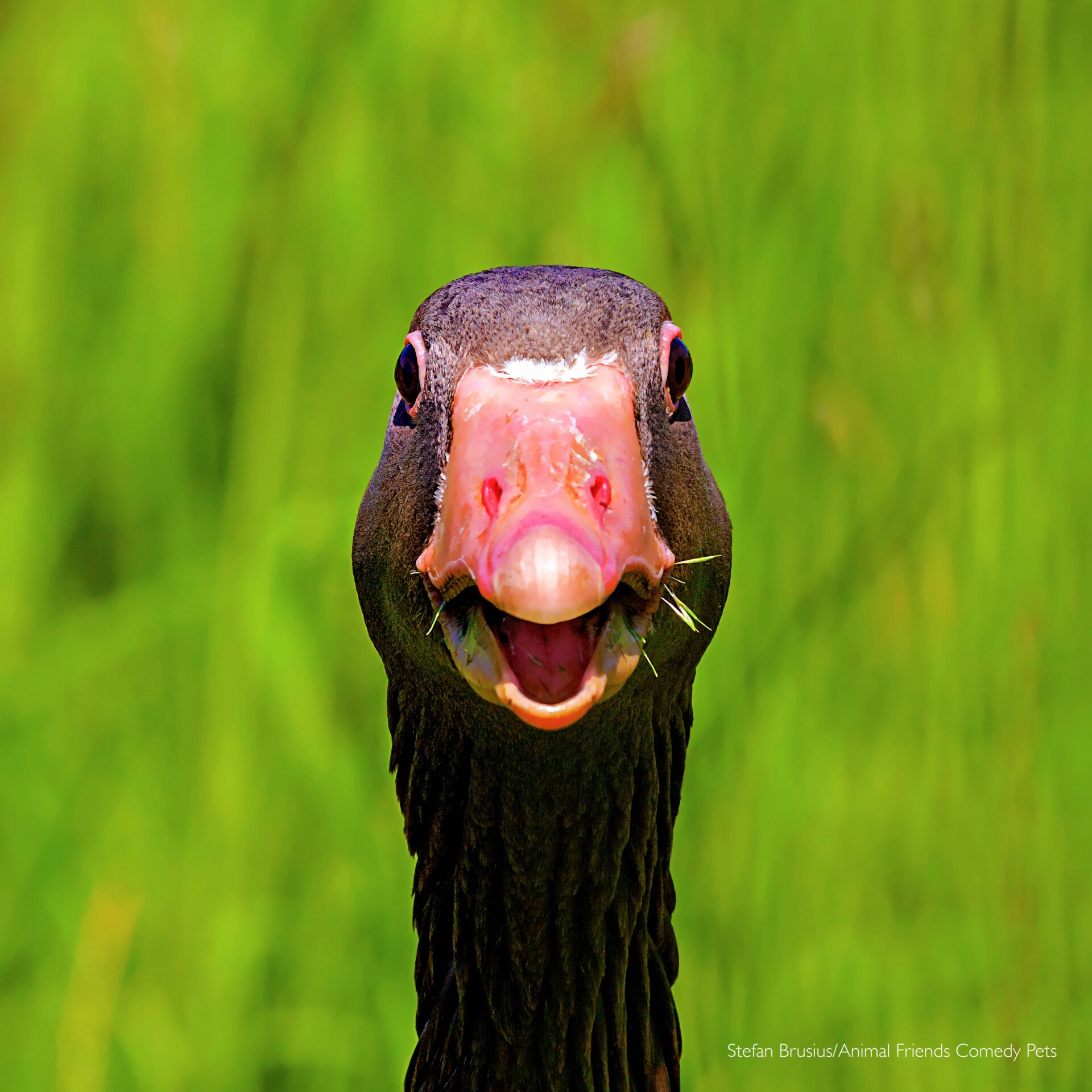 Photo: Stefan Brusius