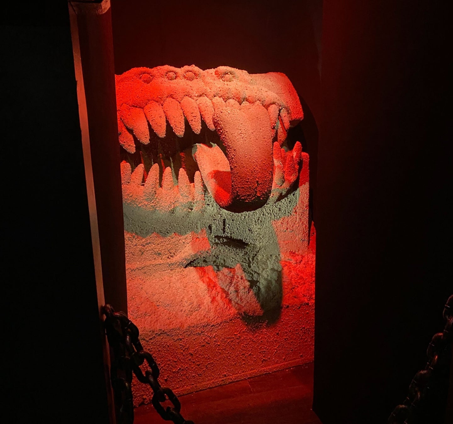 Photo: Cheryl Eddy/io9