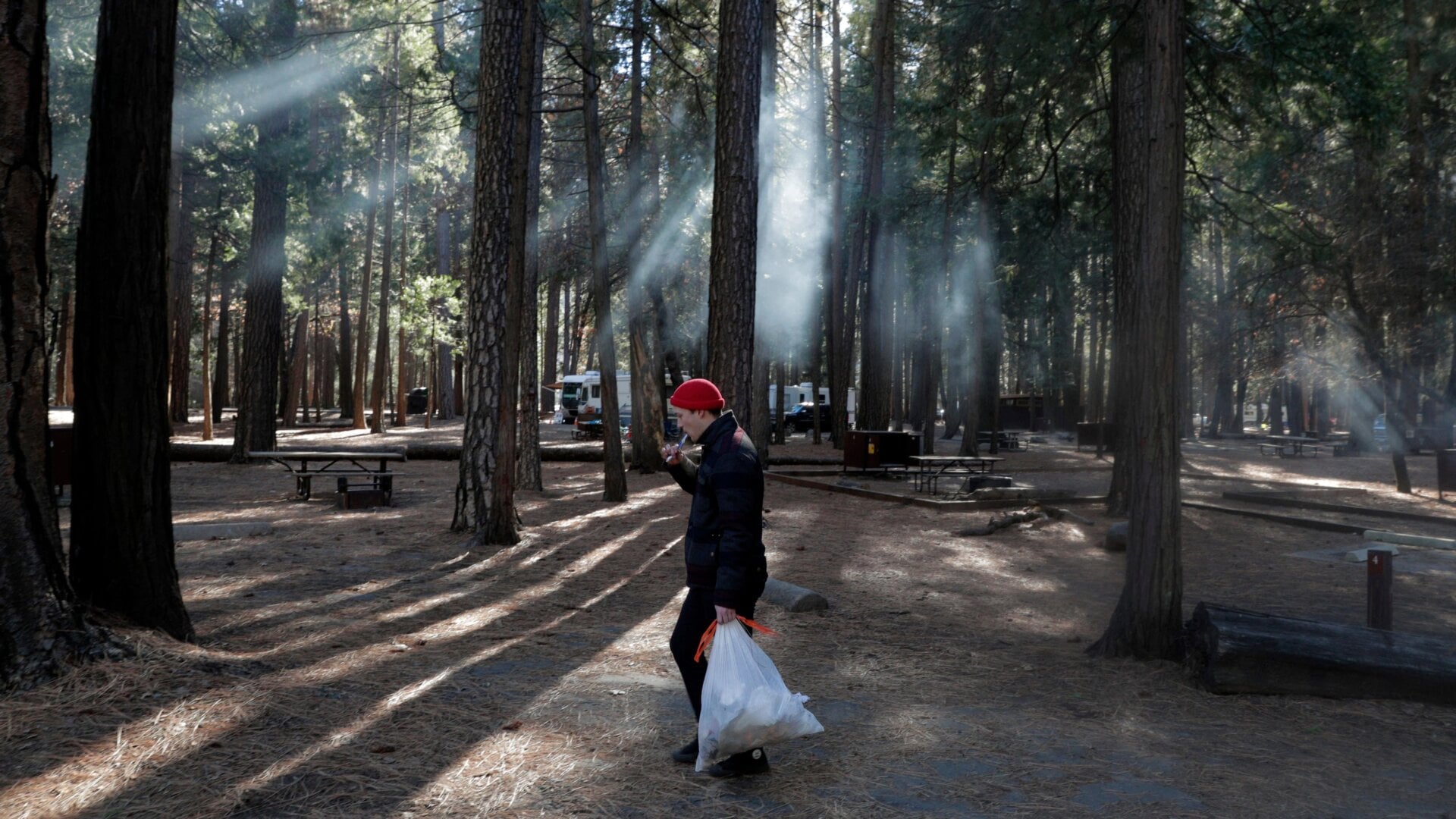 Trash collection in Yosemite National Park during a government shutdown in 2019.