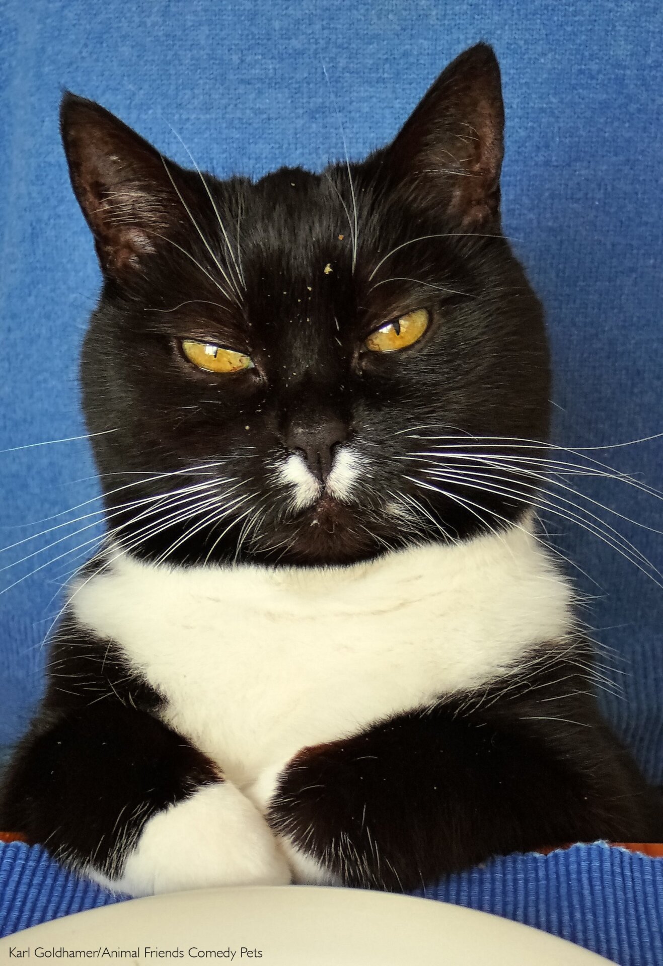 Photo: Karl Goldhamer