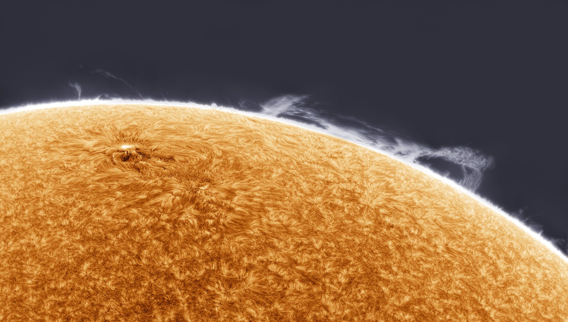 Wisps of gas above the Sun’s surface.