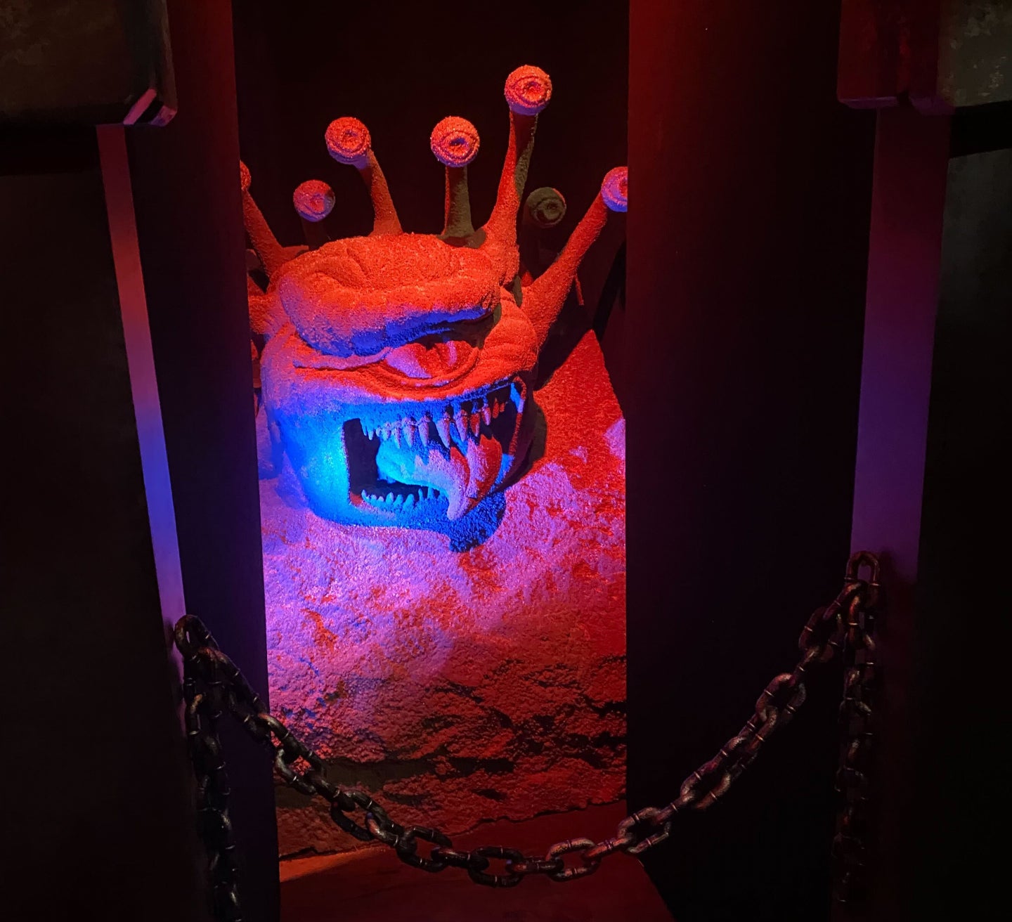 Photo: Cheryl Eddy/io9