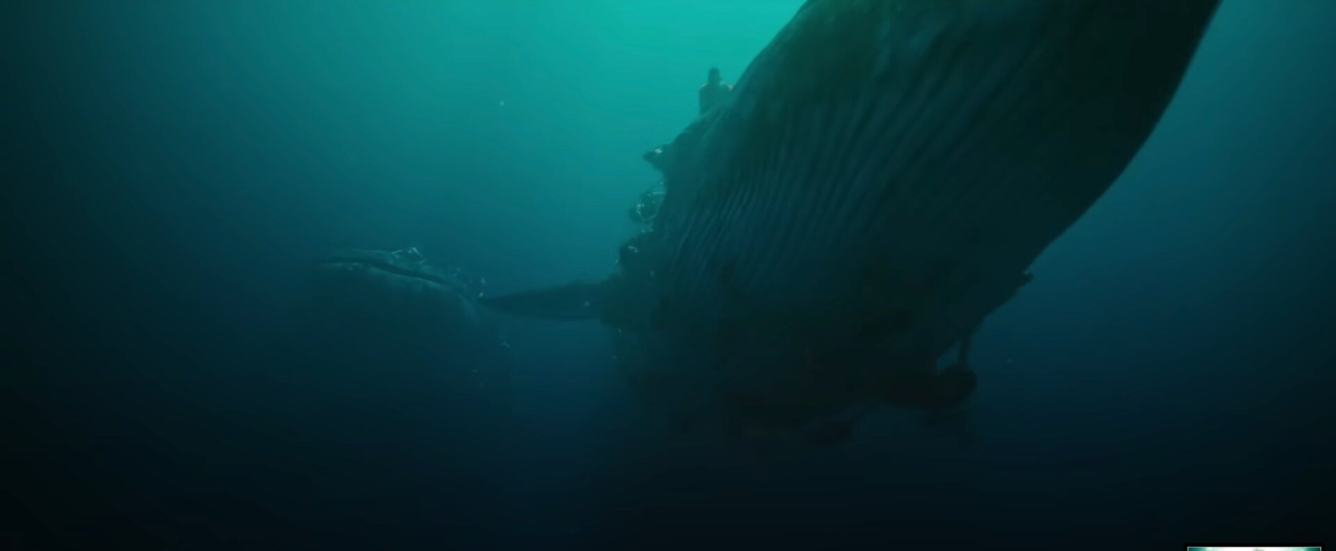 Screenshot: Marvel Entertainment