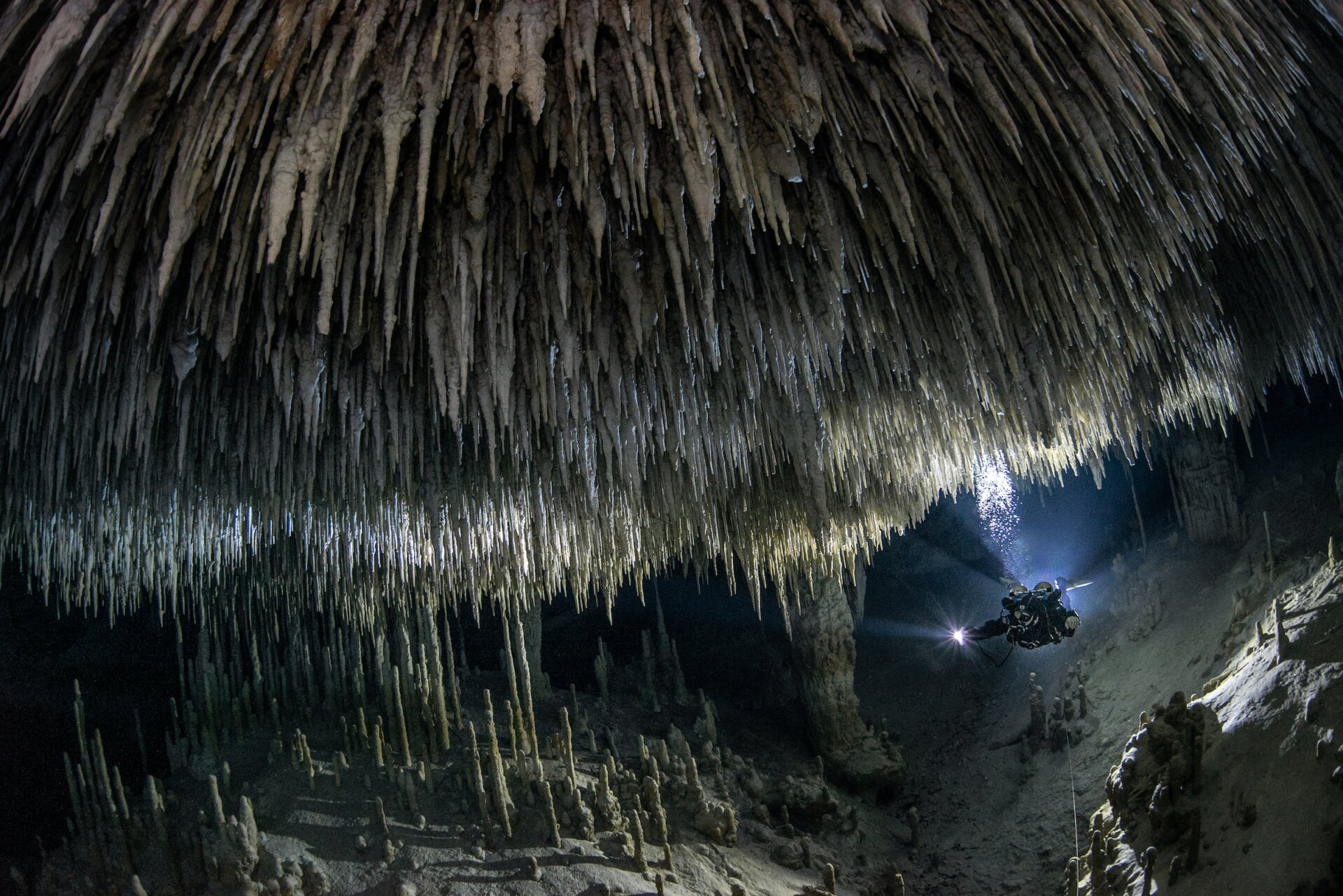 Photo: Tom St George / BigPicture Natural World Photography Competition