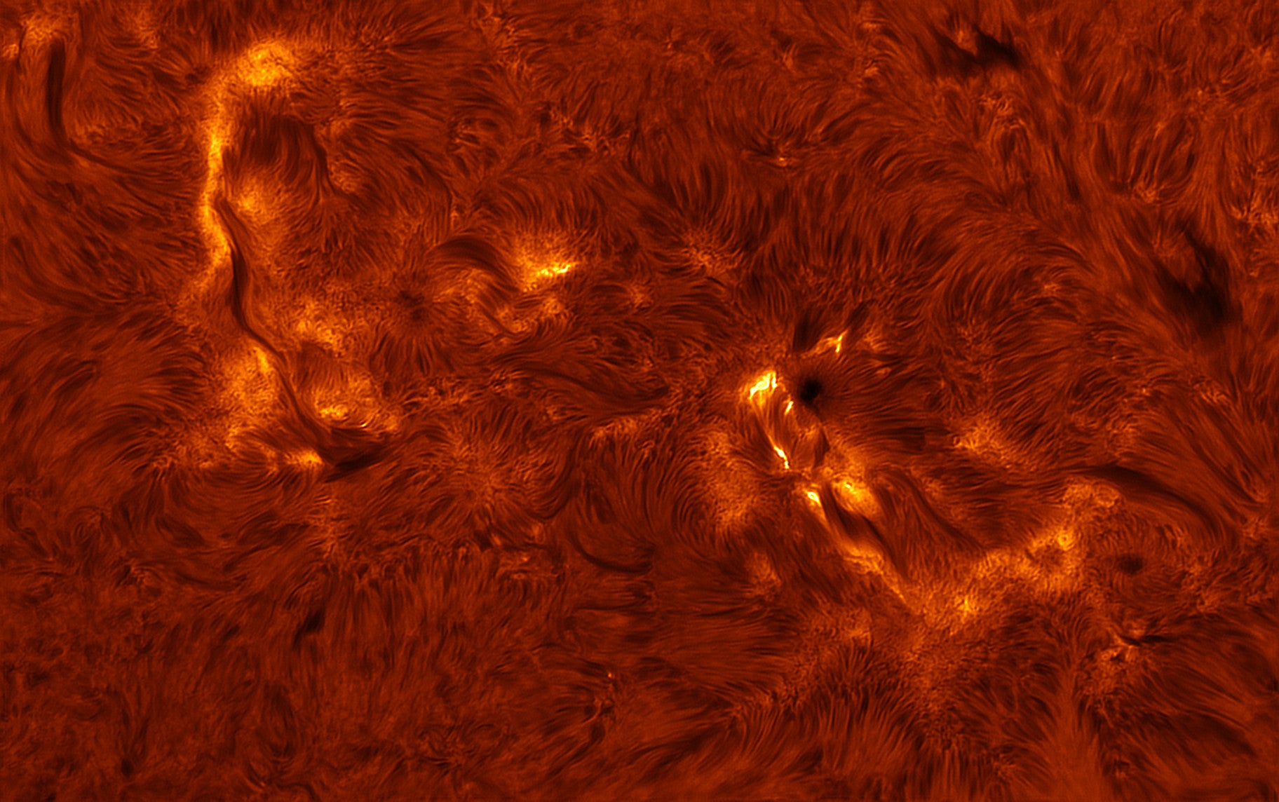 The abstract swirls of the Sun’s superheated surface.