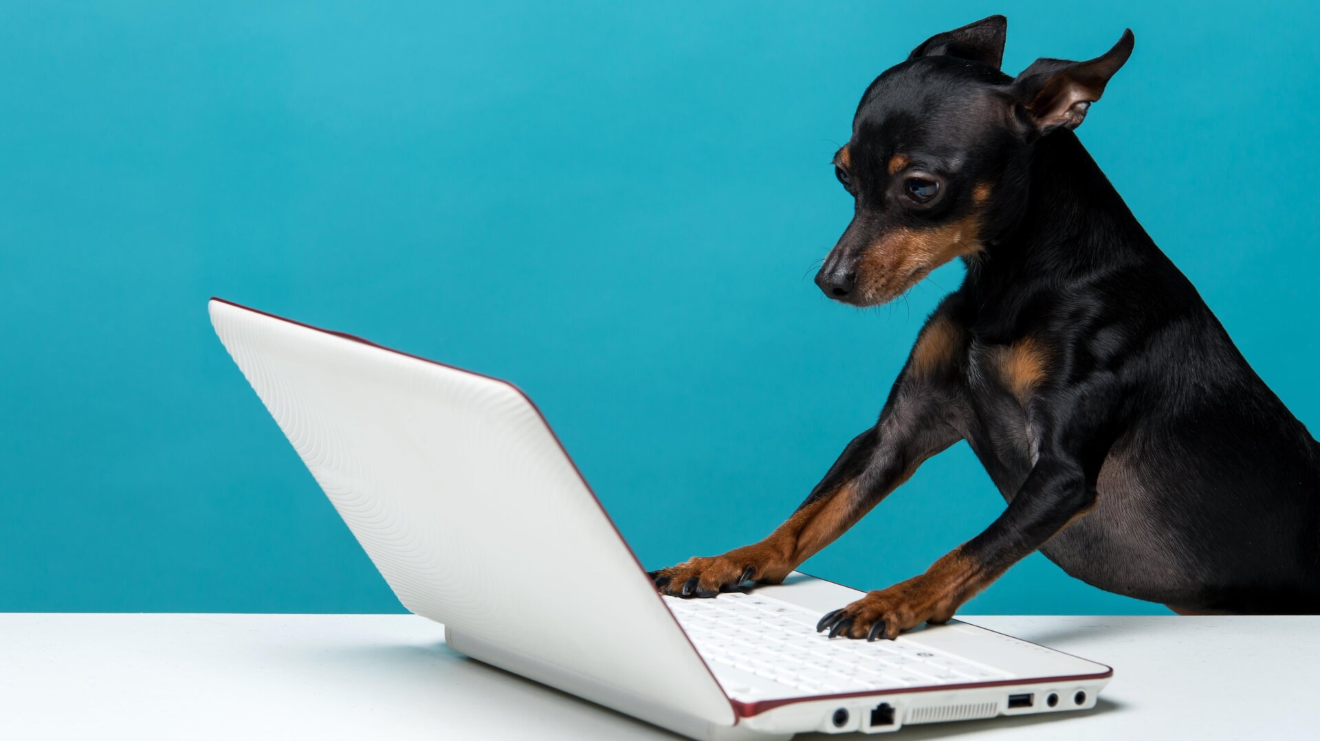 Photo: JEONGHYEON NOH