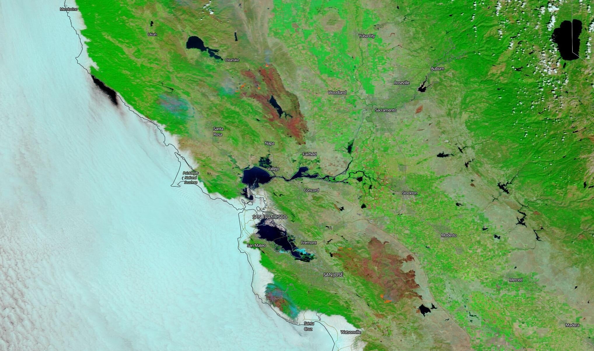 NASA’s Terra satellite captures this image of the burn scars from both the LNU Lightning fire complex and the SCU Lightning fire complex in California on Aug. 26, 2020.