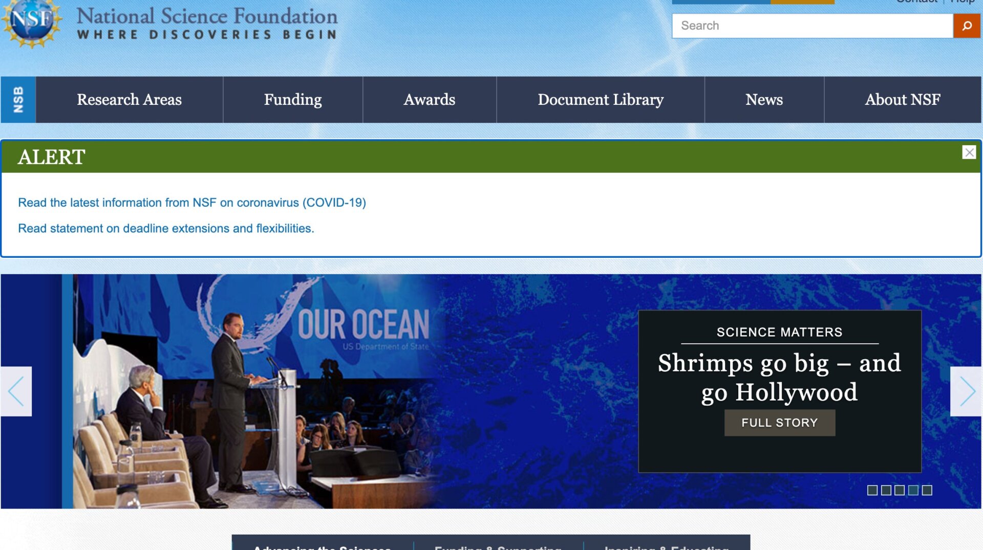 Screenshot: National Science Foundation