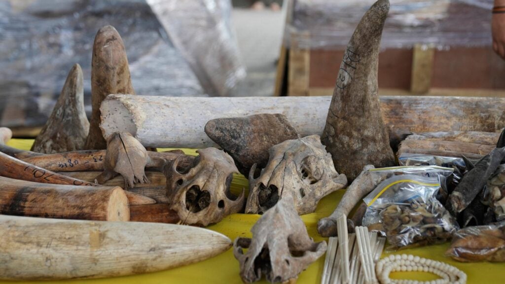 Photo: Vincent Thian