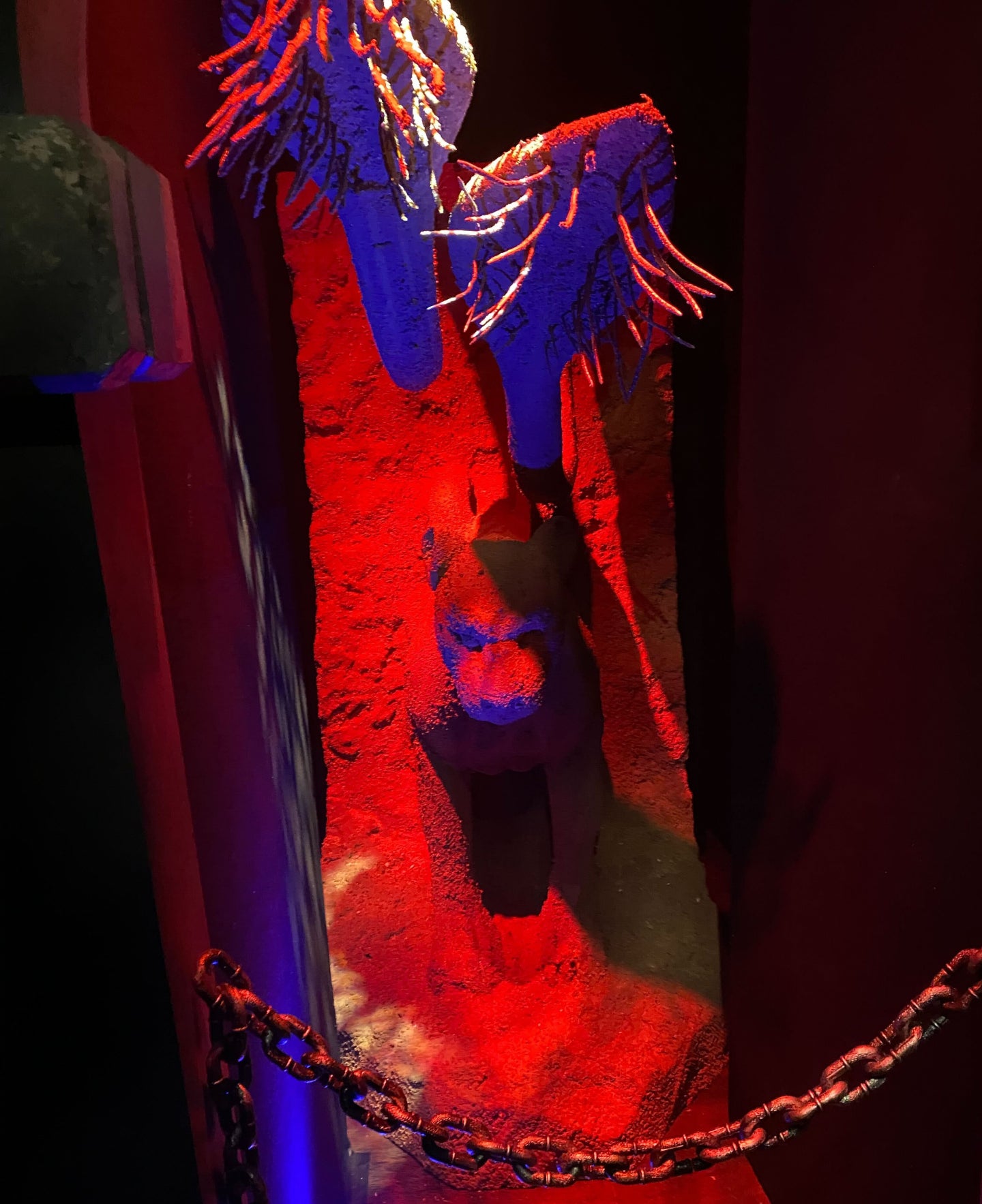 Photo: Cheryl Eddy/io9