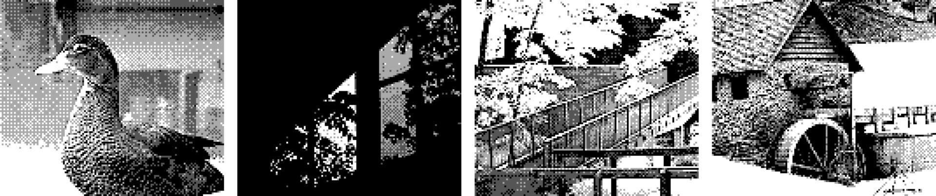 Photo: Christopher Graves