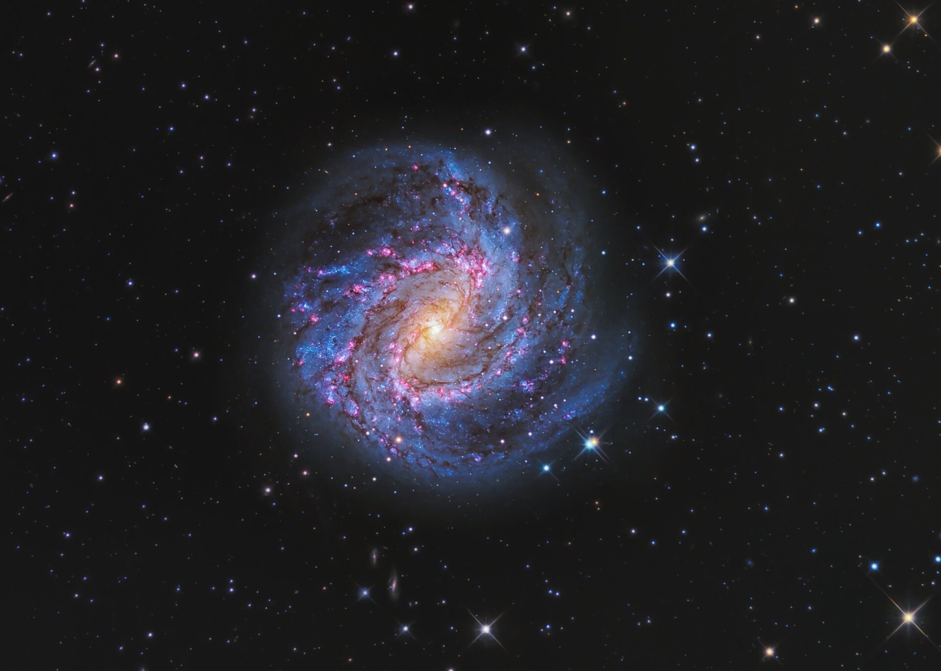 The vivid blue and pink pinwheel of a galaxy.