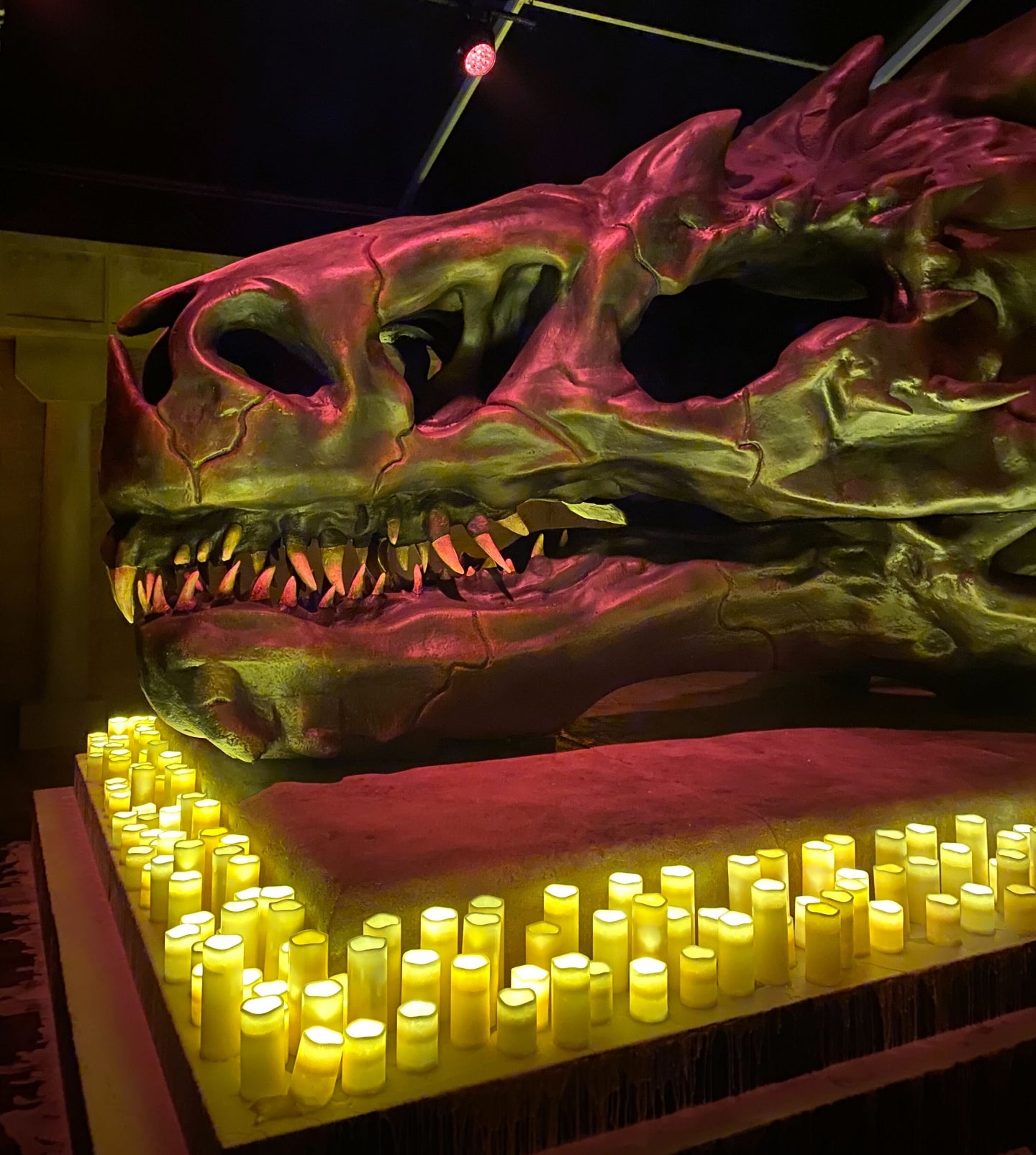 Photo: Cheryl Eddy/io9