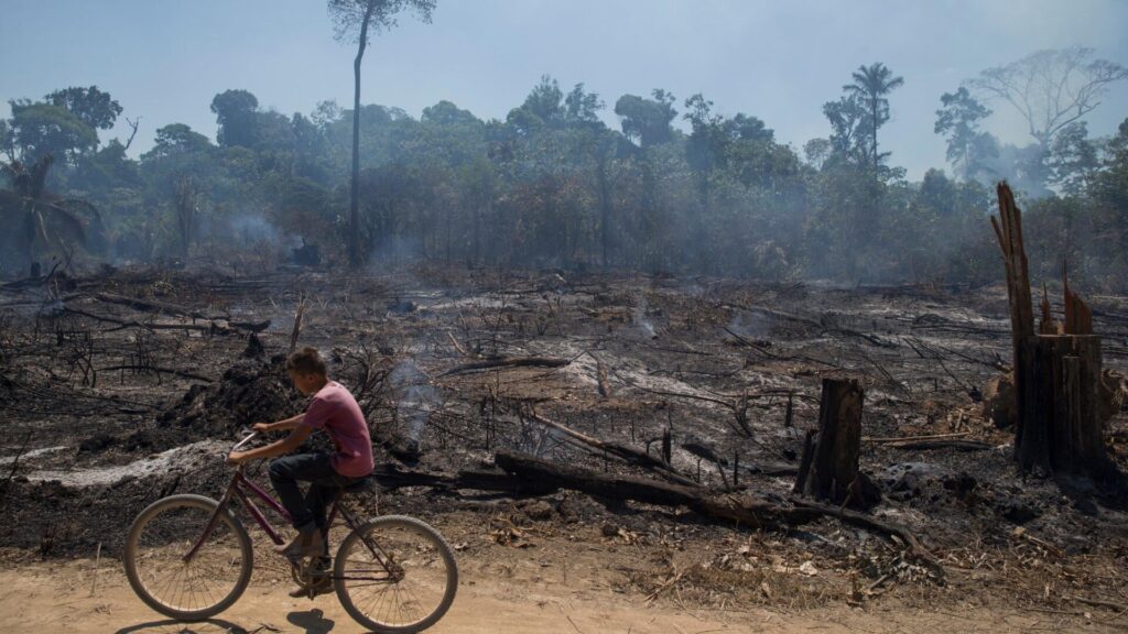 Photo: Fernando Souza / AGIF