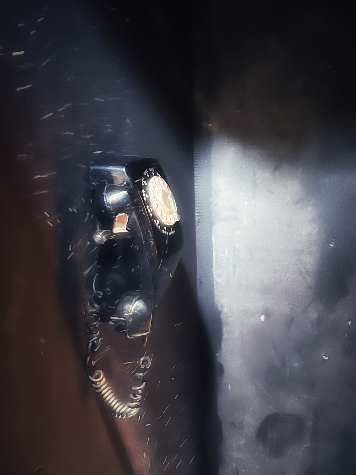 Photo: Sabina Graves/Gizmodo