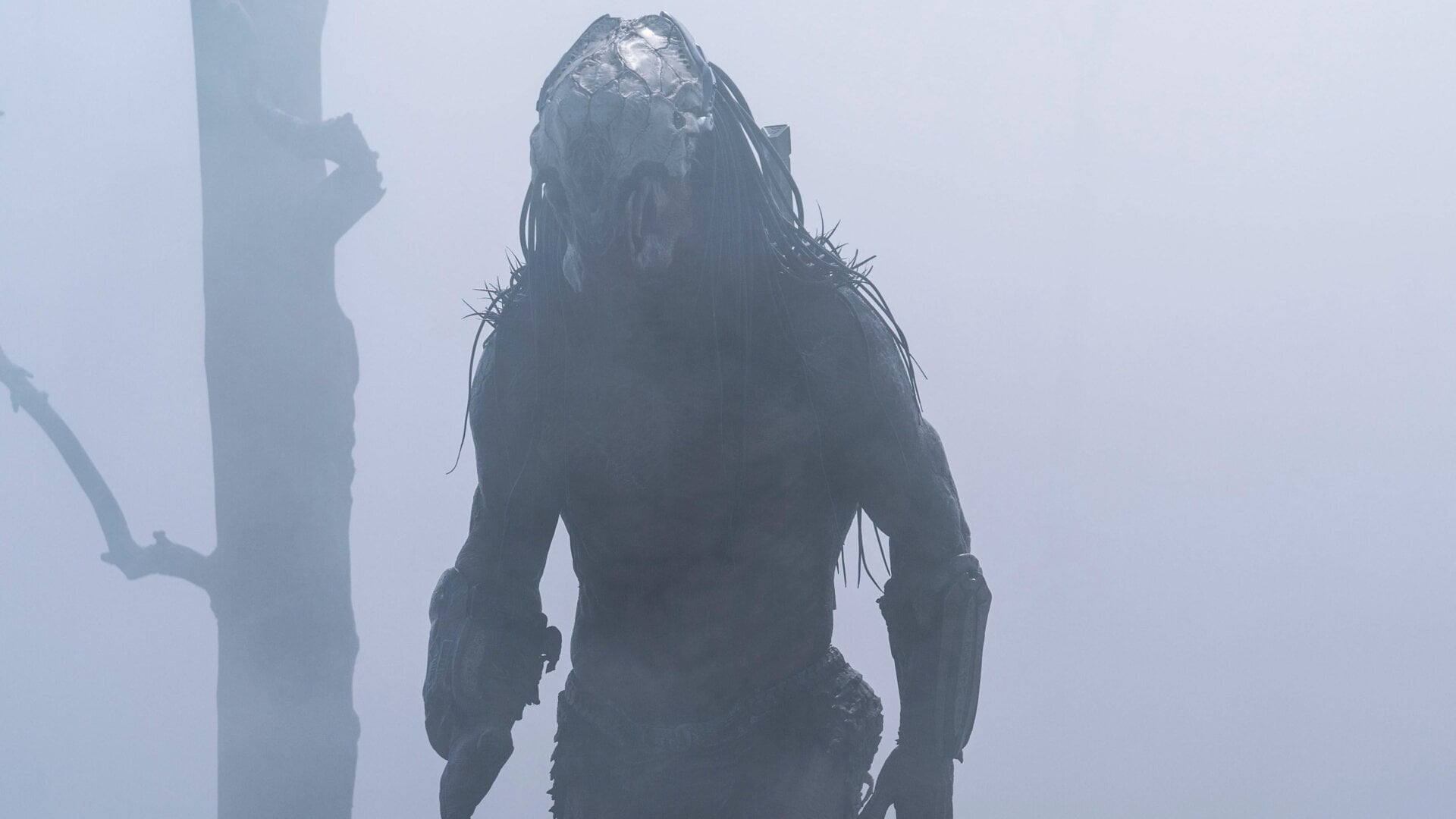 Image: 20th Century Studios