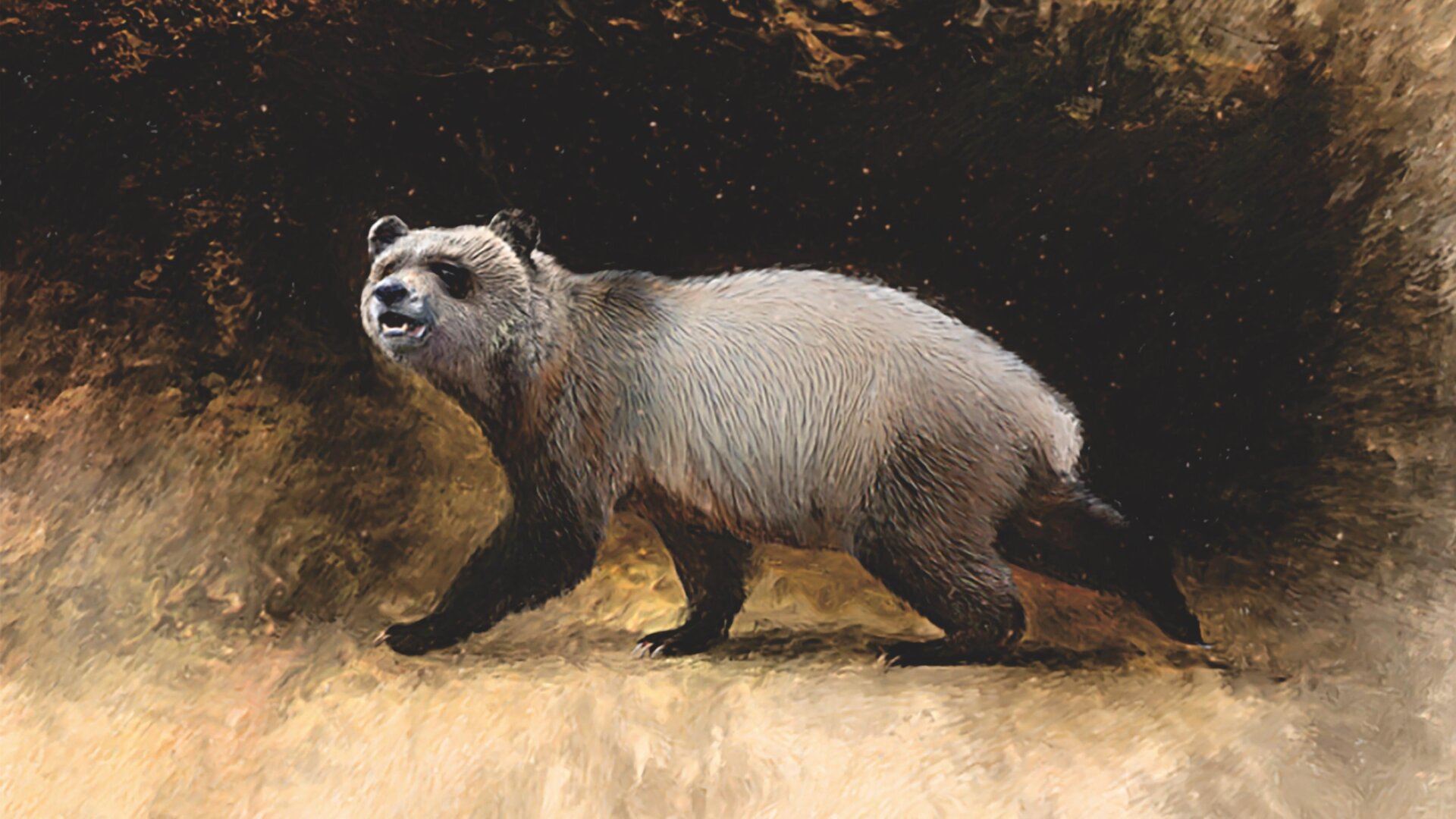An illustration of the extinct Bulgarian panda A. nikolovi.