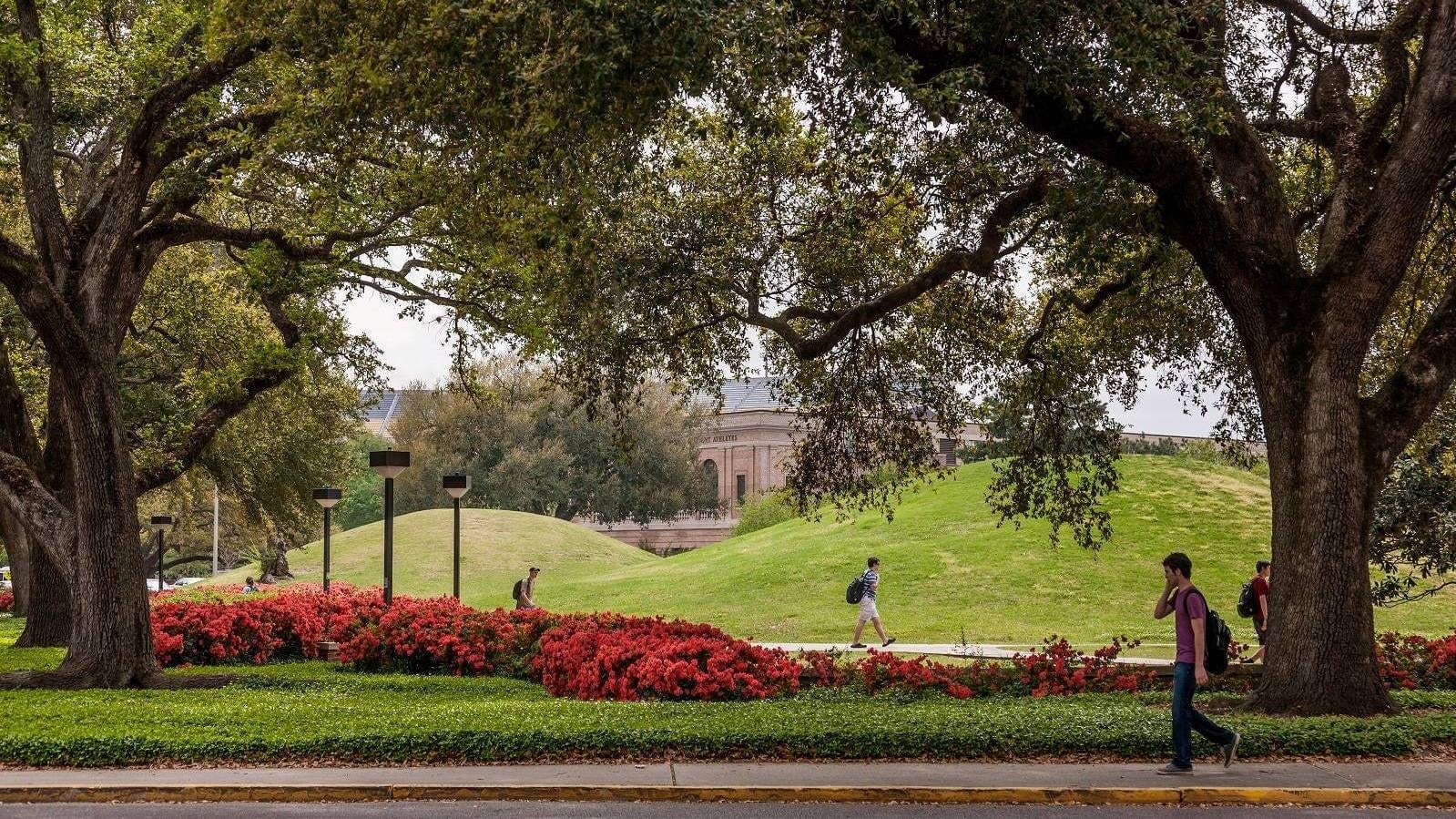 The ancient mounds on LSU campus.