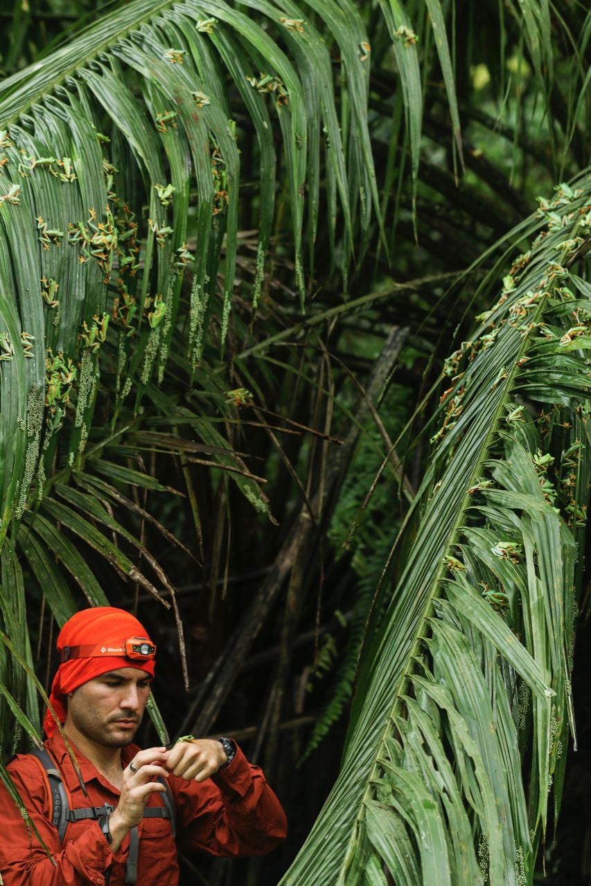 Photo: Brandon André Güell