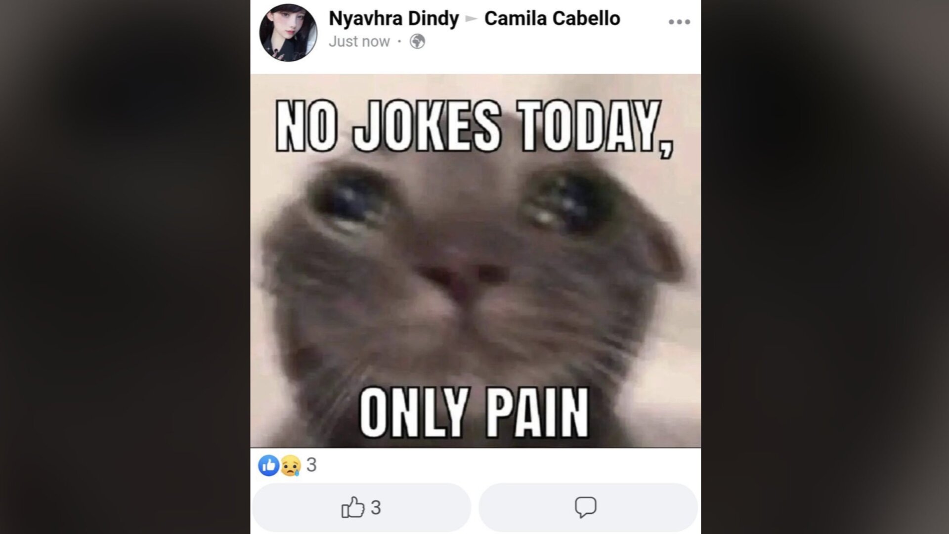 Why you have to bring the furry babies into this?