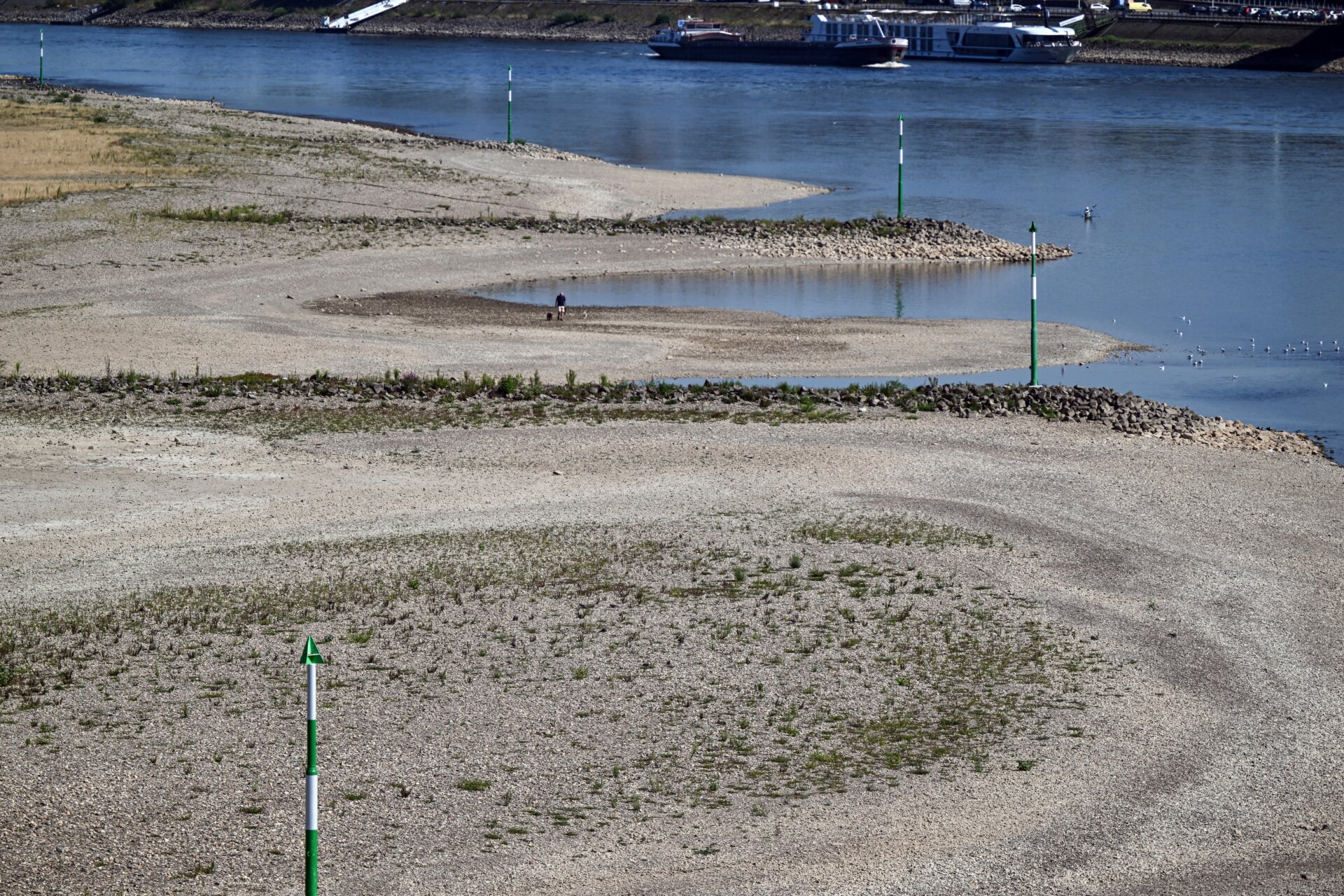 A ship sails past the dry groynes on the banks of the Rhine near Duesseldorf, Germany. 