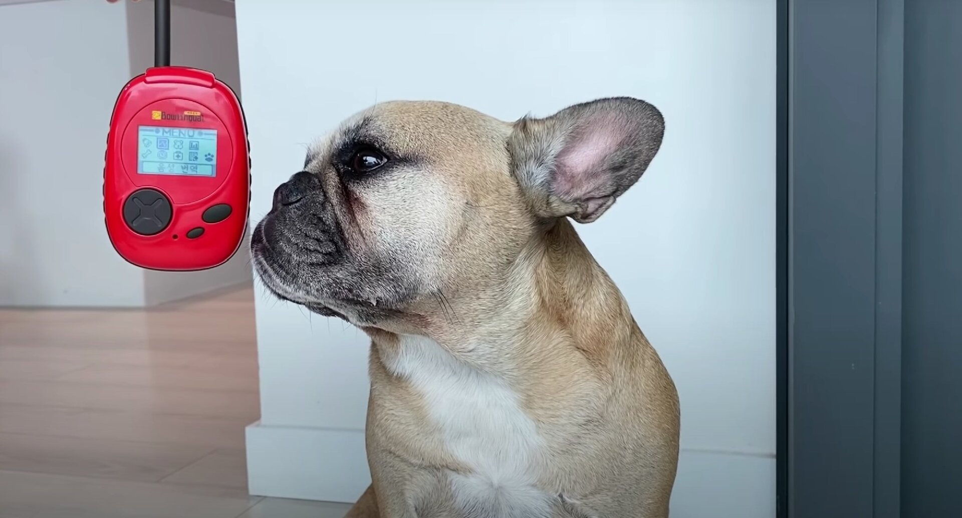 Newer version of the Bow-lingual