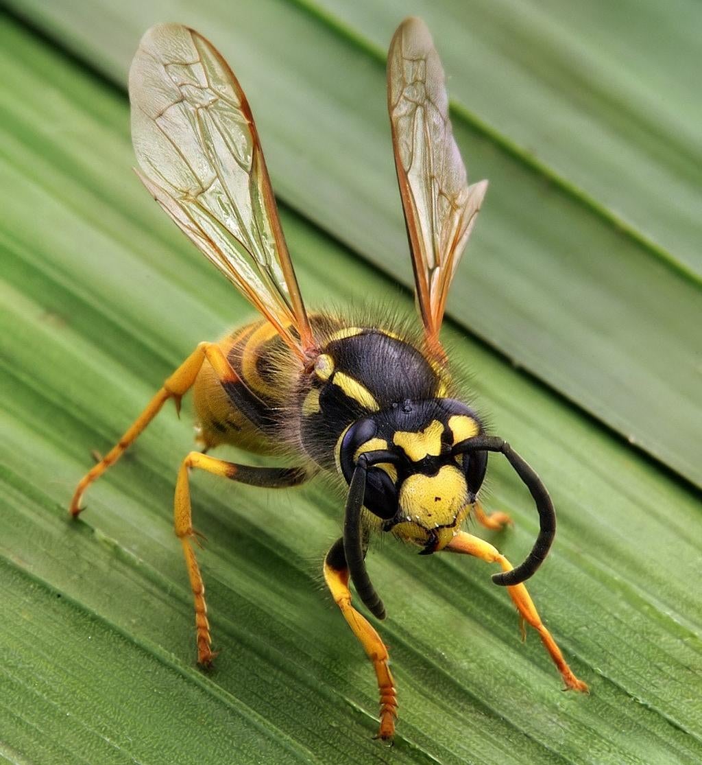 Photo: Richard Bartz