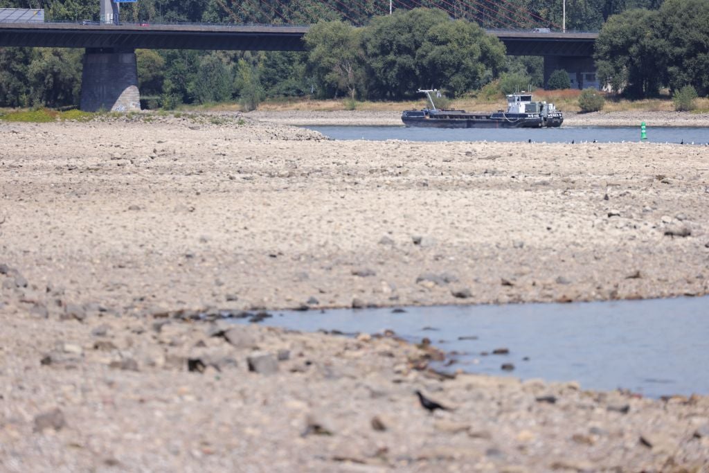 A cargo ship travels on the Rhine River in August 2022 in Bonn, Germany. 