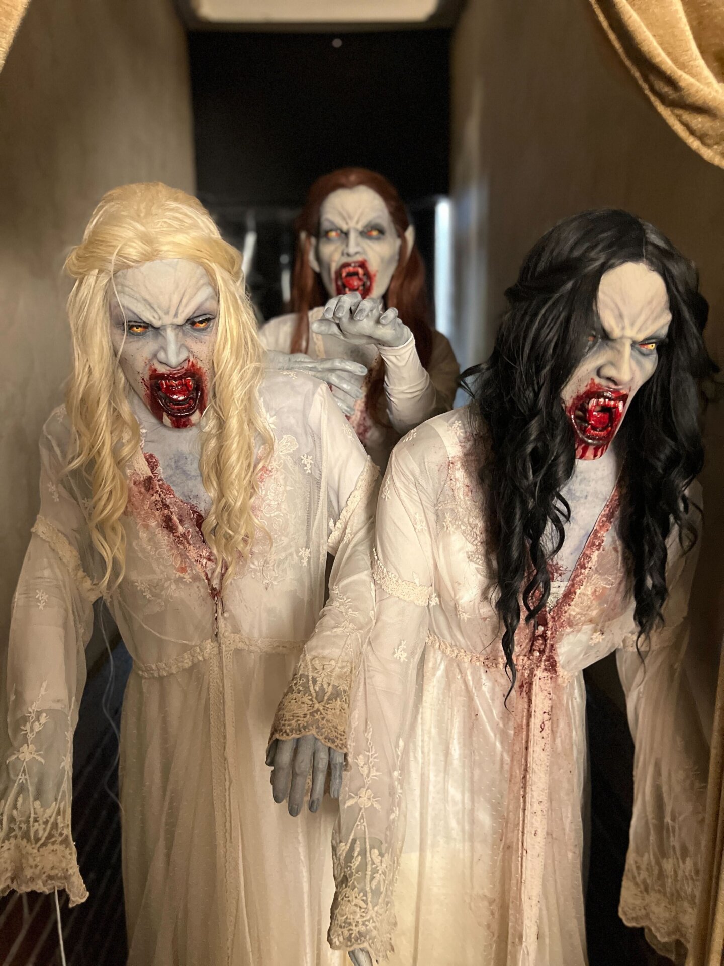 Photo: Sabina Graves/Gizmodo