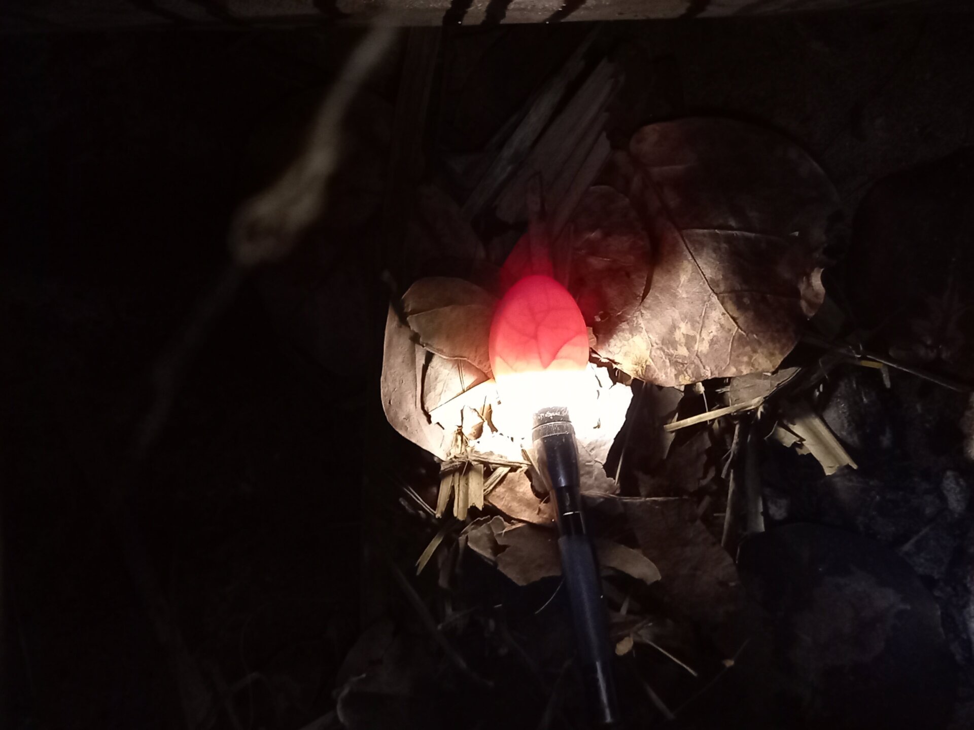 Photo: Letizia Campioni