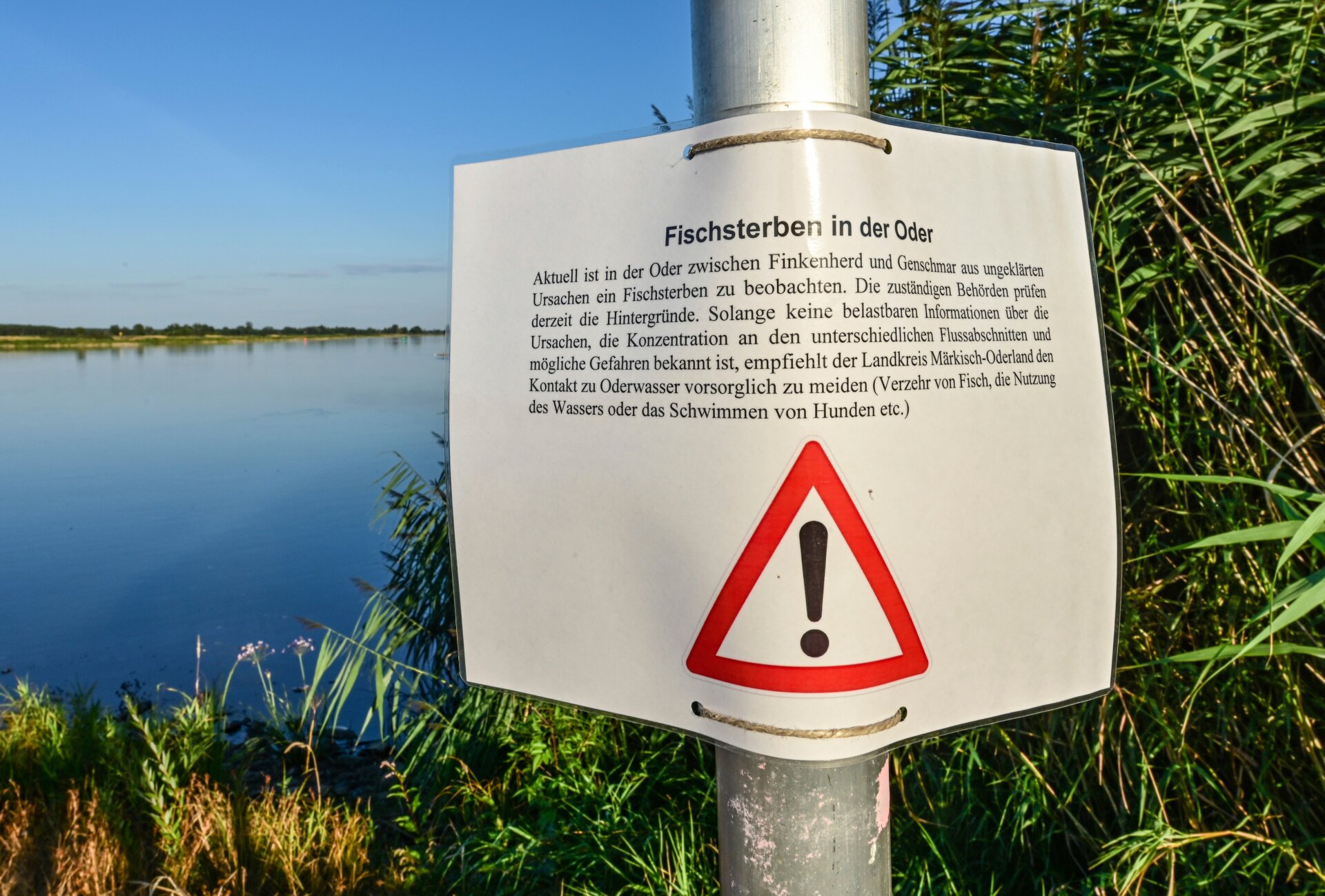 This warning notice tells people to not fish, swim, or allow pets in the Oder River.