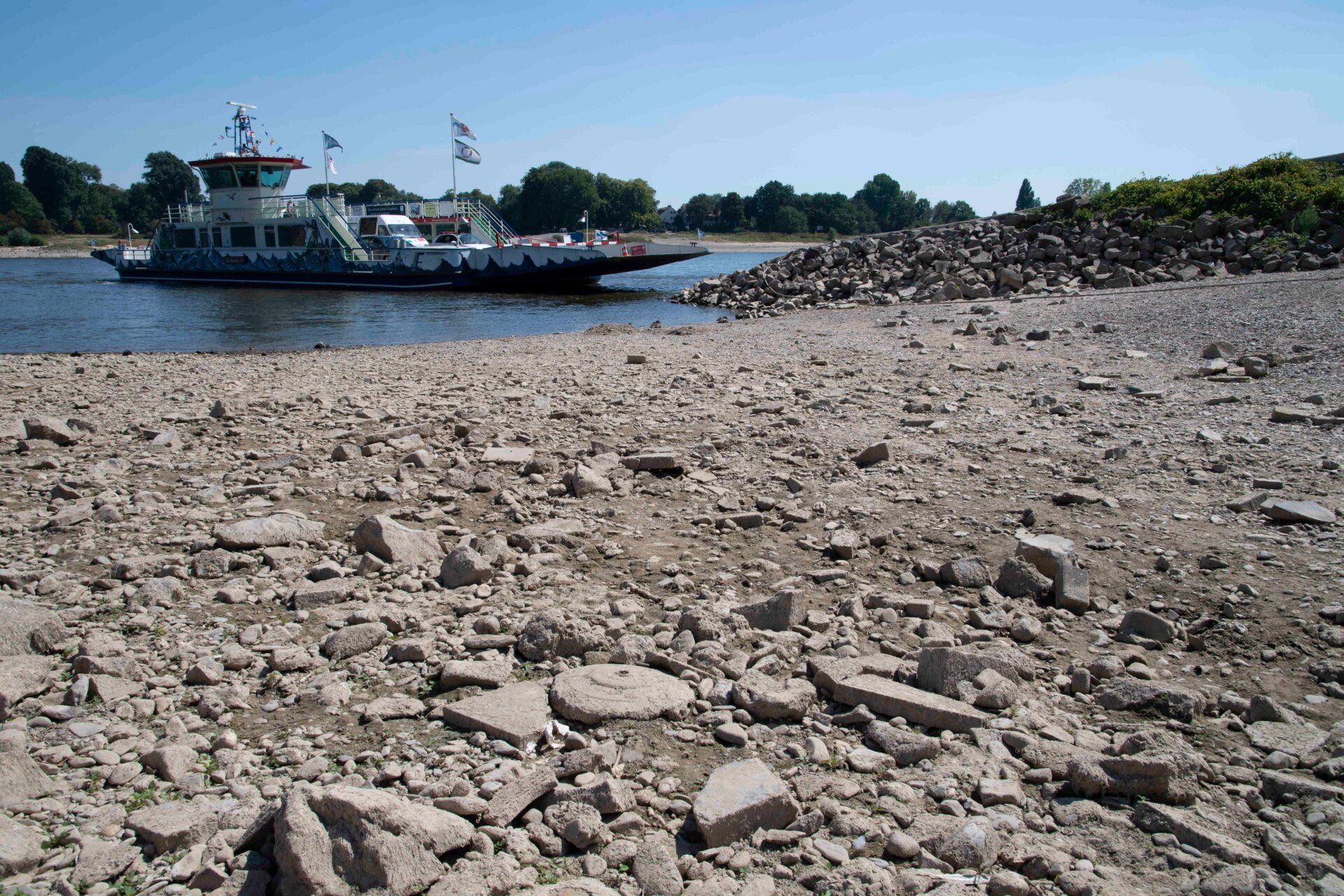 The Rhine ferry Michaela crosses the Rhine in August 2022, despite low water levels near Langst / Kaiserswerth. 