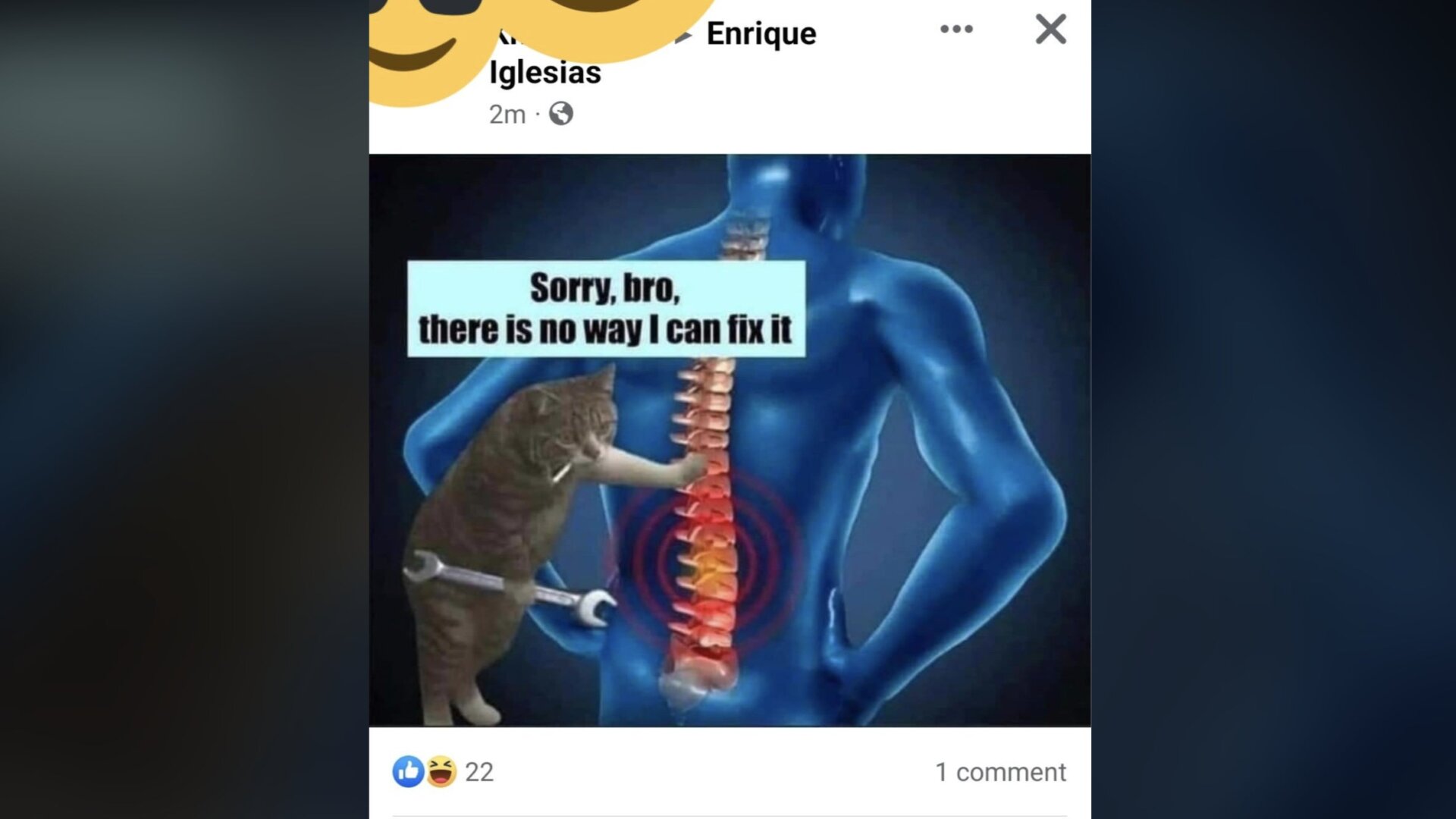 At first I thought this was a funny cat meme but now that I look at it, I think it might be dissing chiropractors.