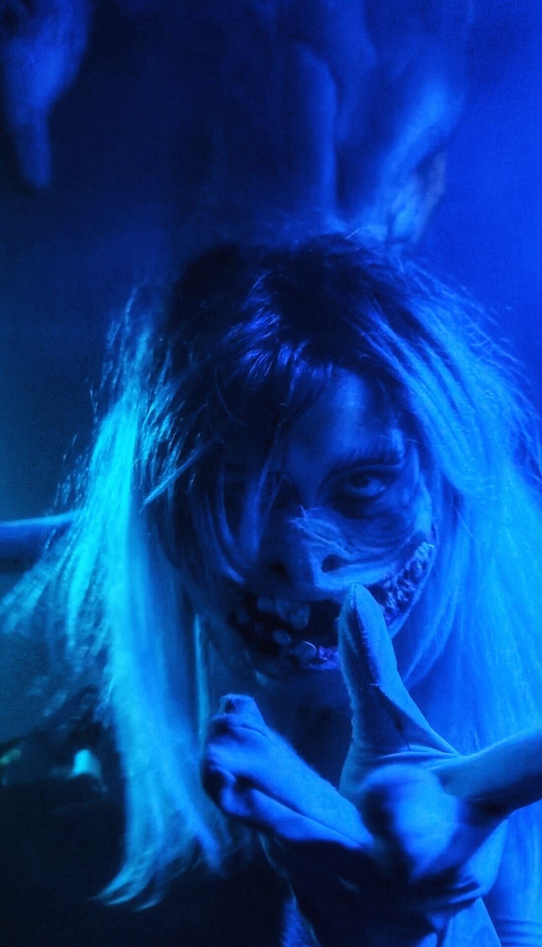 Photo: Sabina Graves/Gizmodo