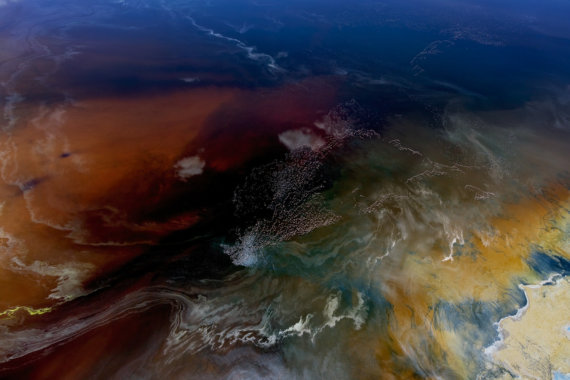 Flocks of flamingos flying over a Kenyan lake.