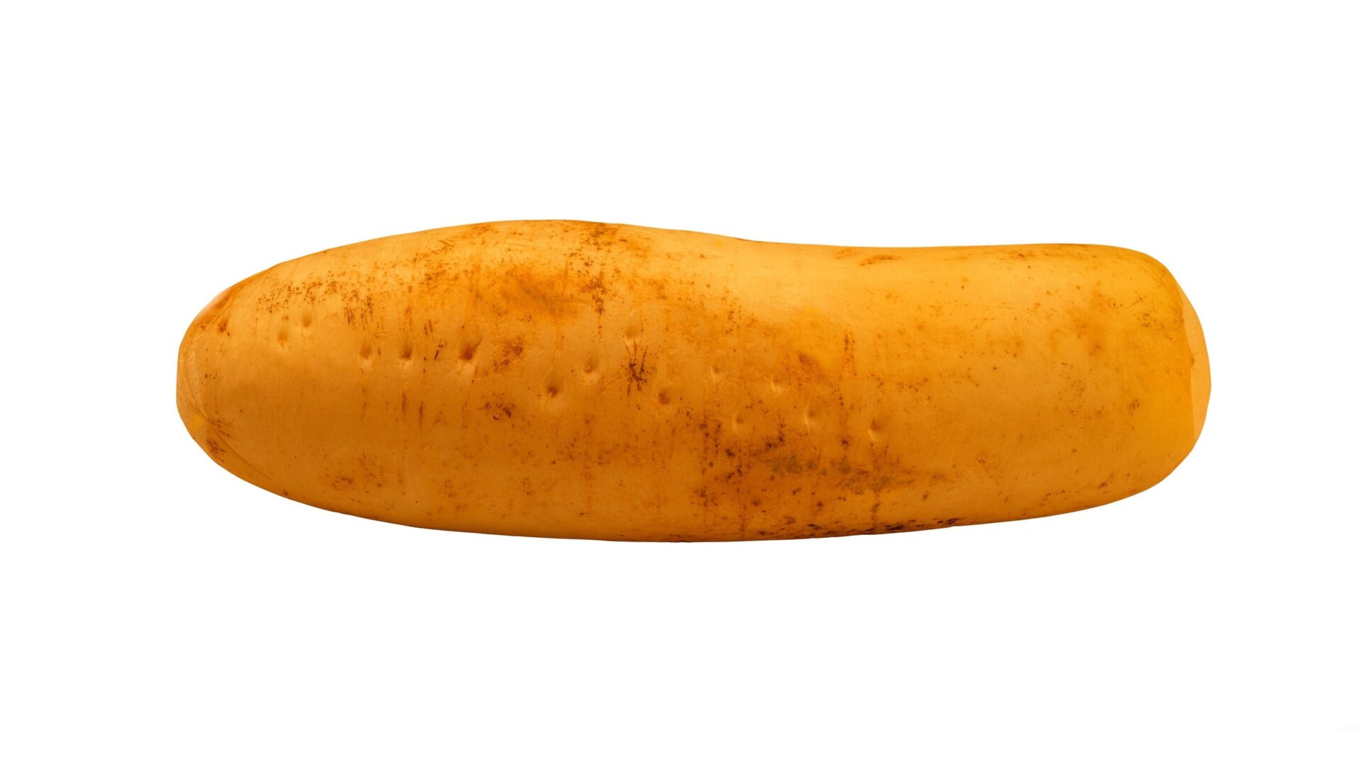 The Hmong Red cucumber.