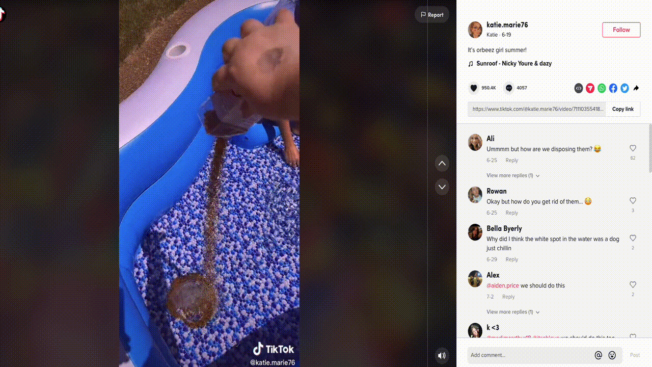 The commenters are making a good point here. Where ARE all of these water beads going to end up?