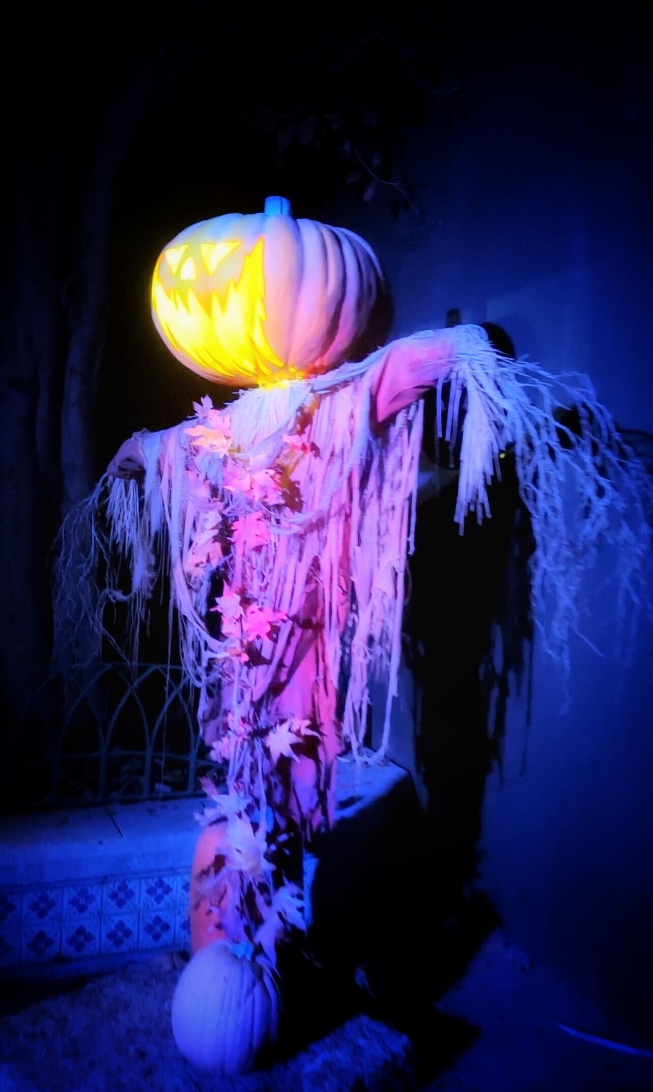 Photo: Sabina Graves/Gizmodo