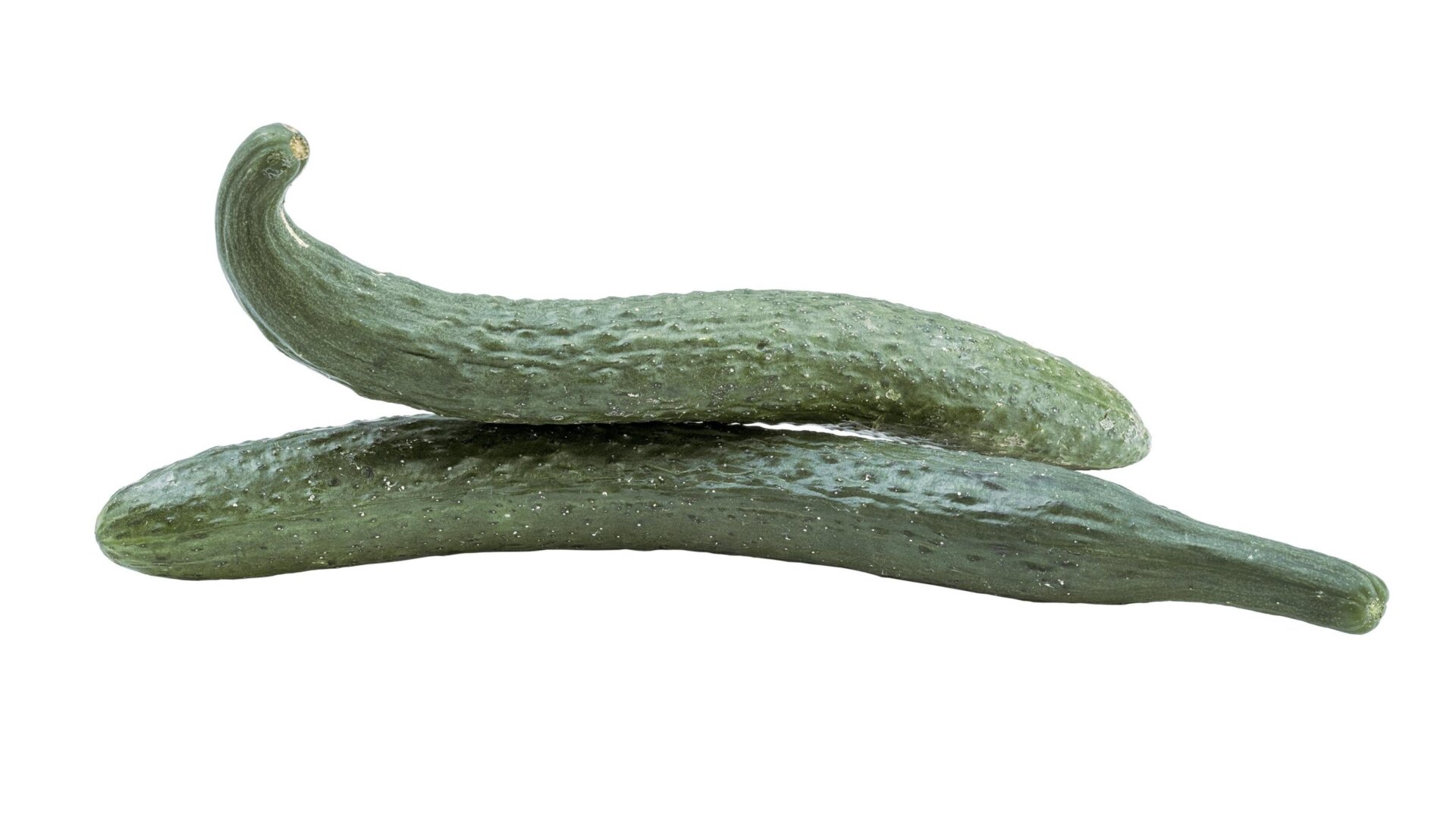 The Aonaga Jibai cucumber.