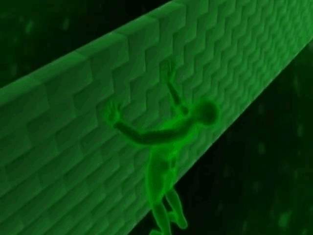 Gif: Animal Planet/Gizmodo