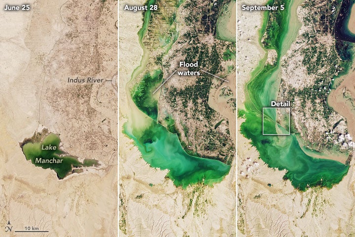 Lake Manchar from June to September 2022.