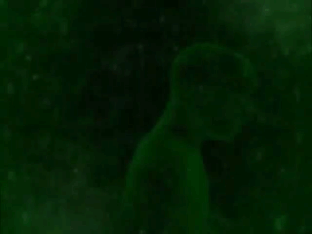 Gif: Animal Planet/Gizmodo