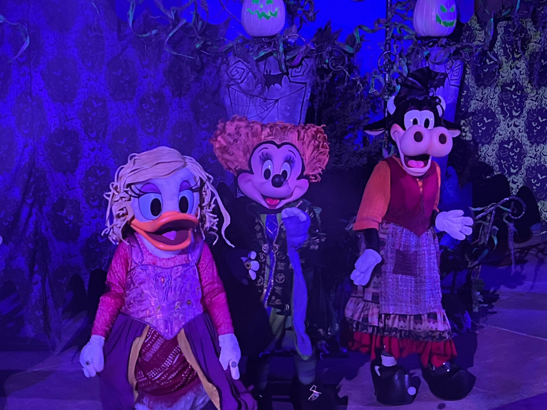 Photo: Sabina Graves/Gizmodo