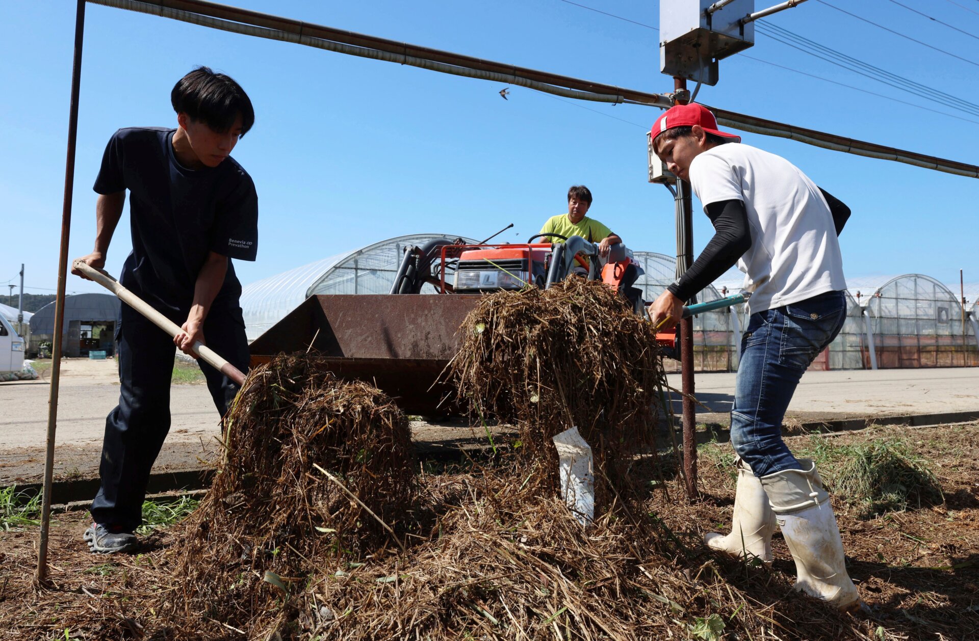People clean up a farmland that was flooded by the storm. 