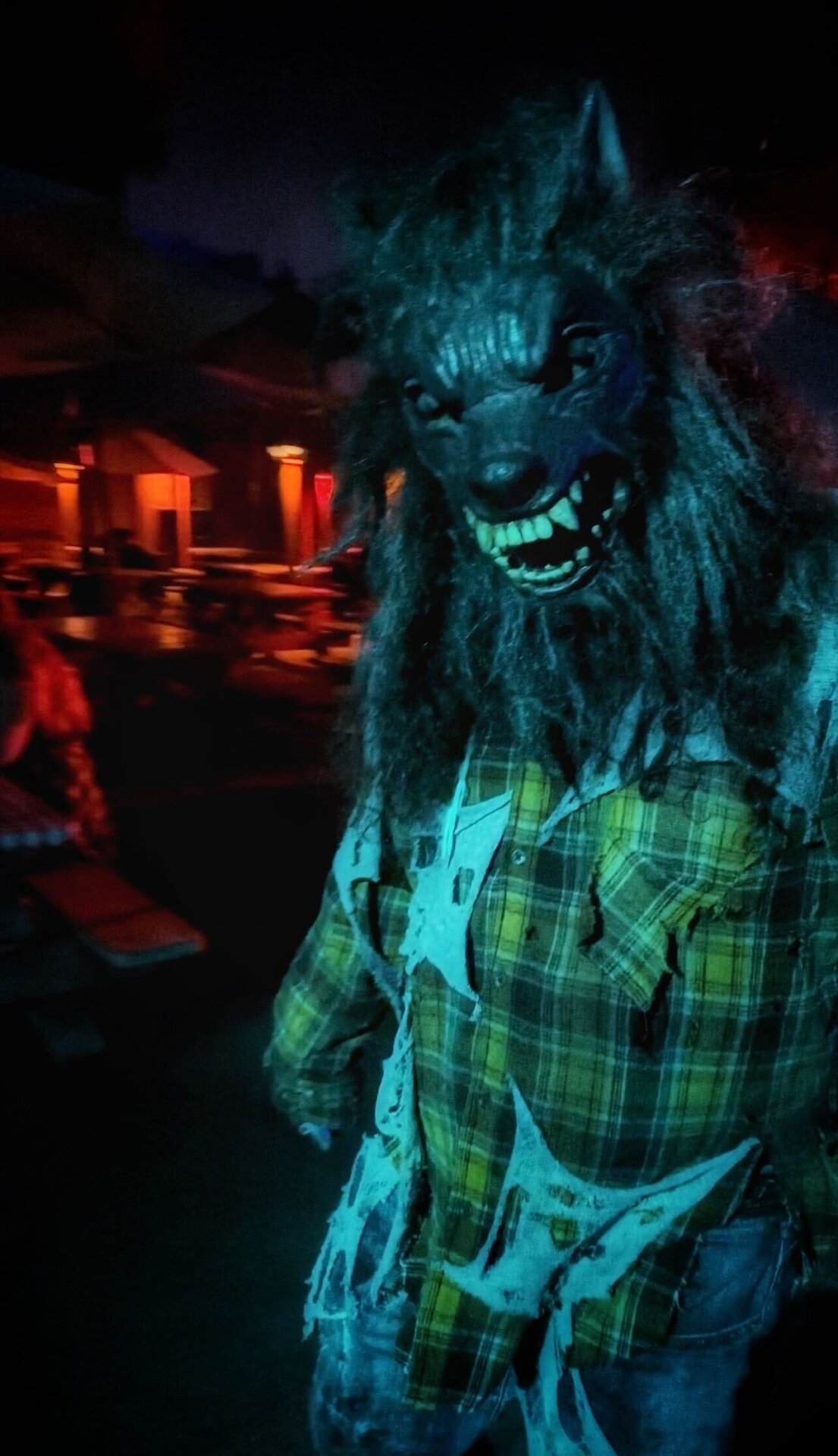 Photo: Sabina Graves/Gizmodo