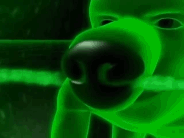 I promise you that this is not as weird as it gets.