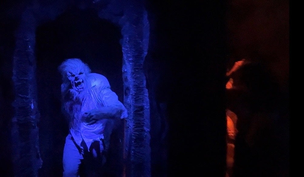 Image: Sabina Graves/Gizmodo