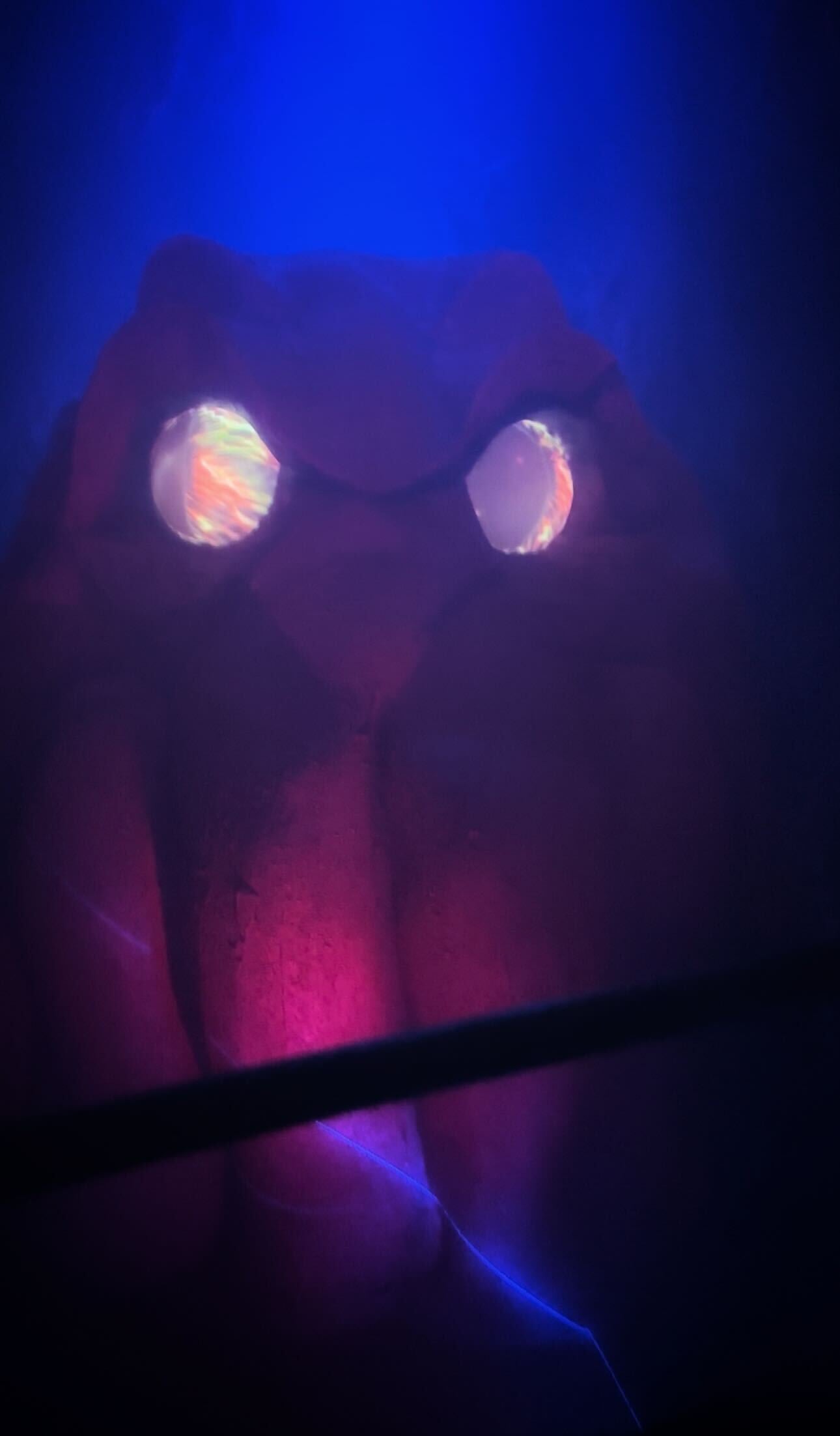 Photo: Sabina Graves/Gizmodo