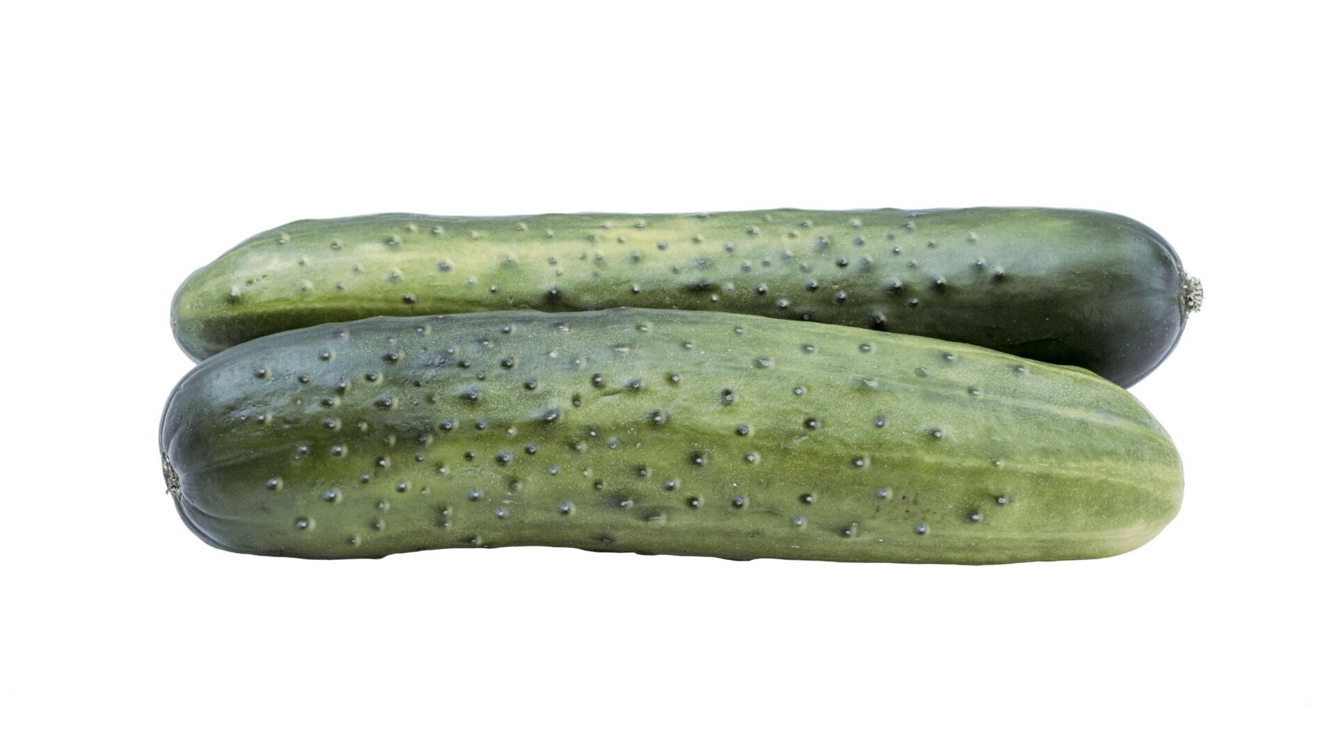 The Muromsky cucumber.